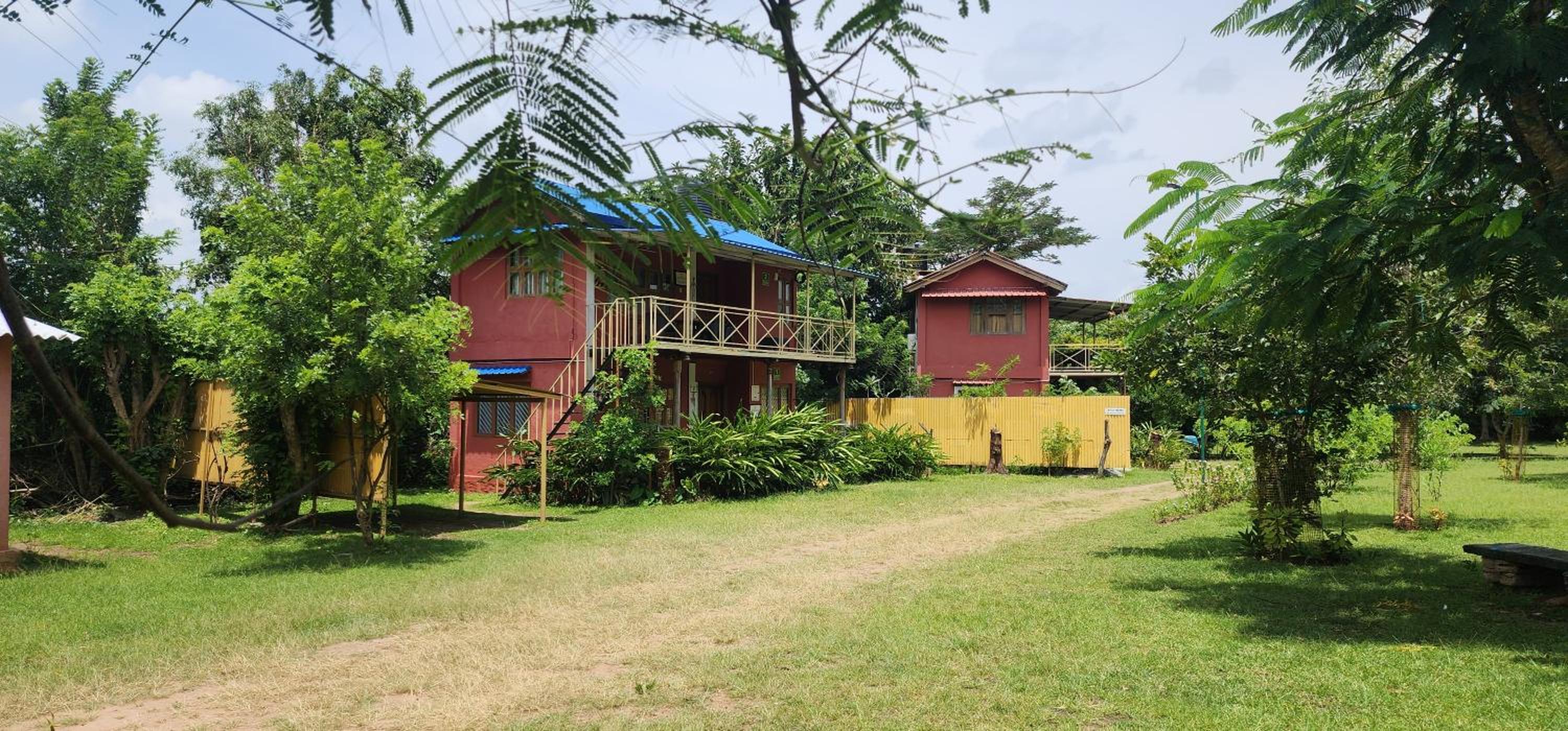 Aranyasun Masinagudi - Formerly known as Tamarind Tree view 2