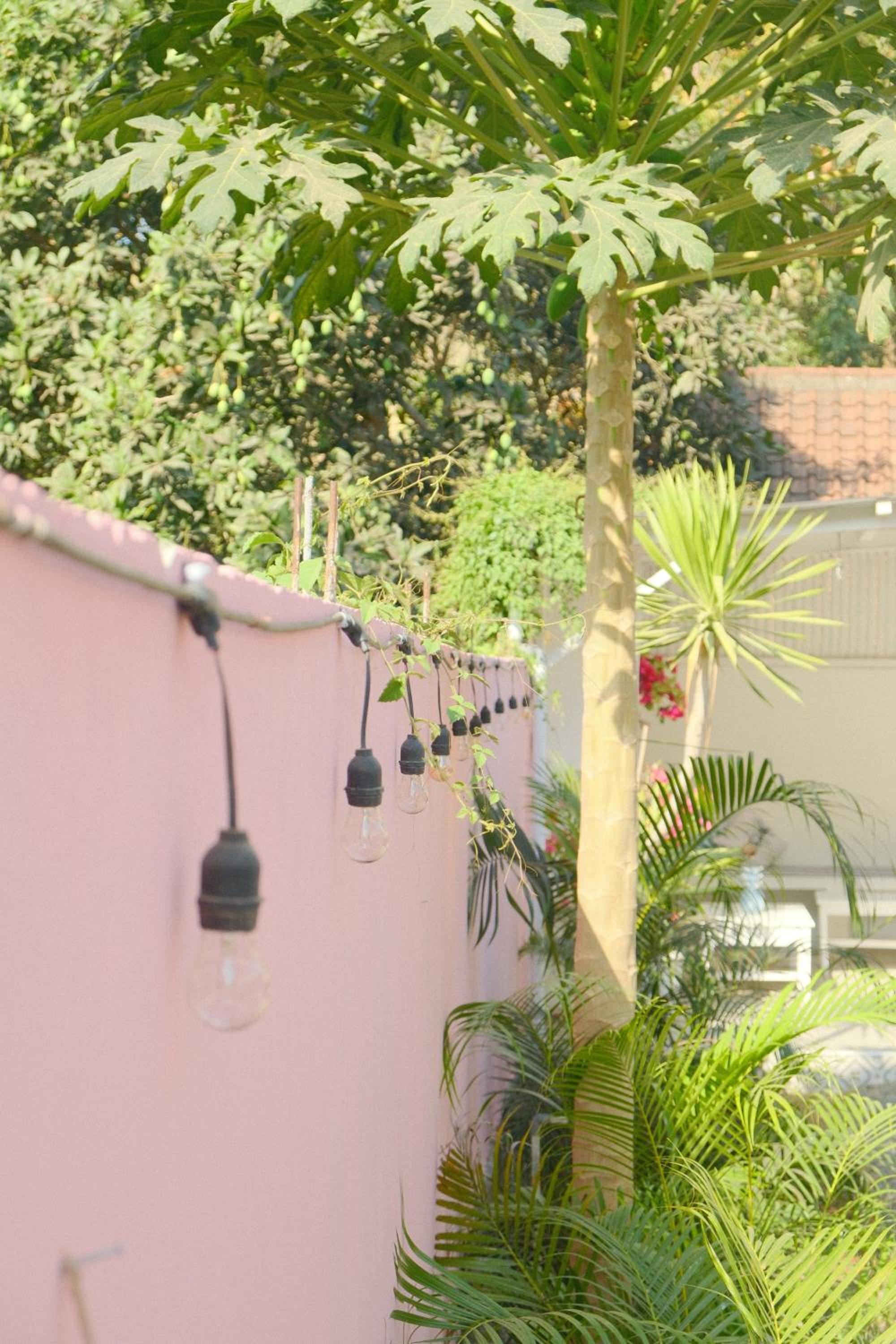 Coco Colada Bungalows