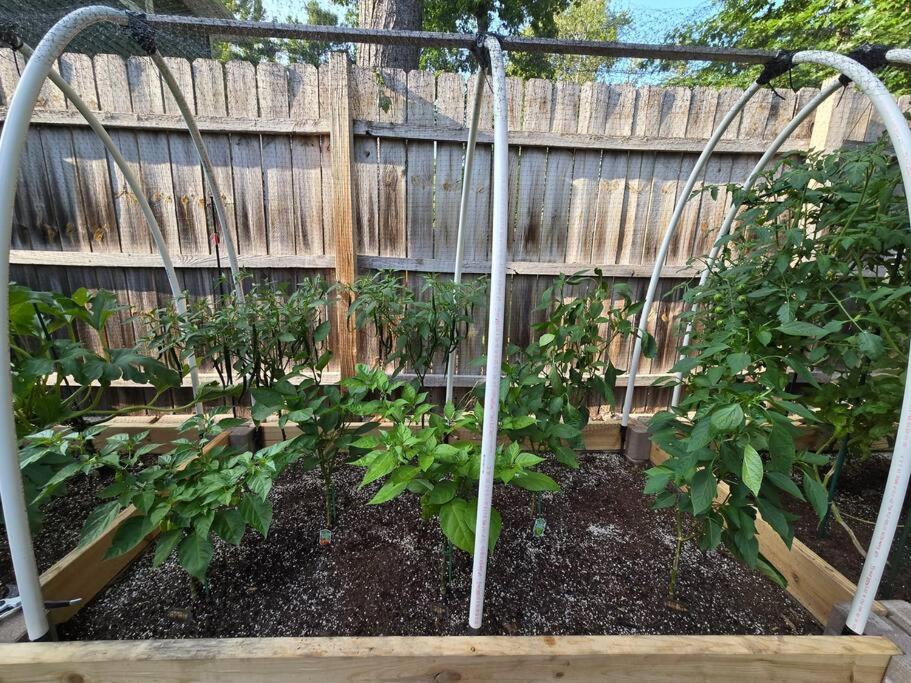 other