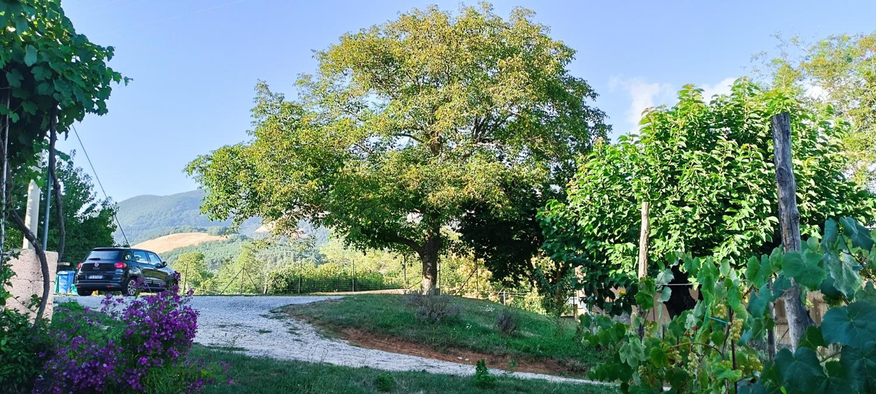 Dolcedorme del Pollino view 2