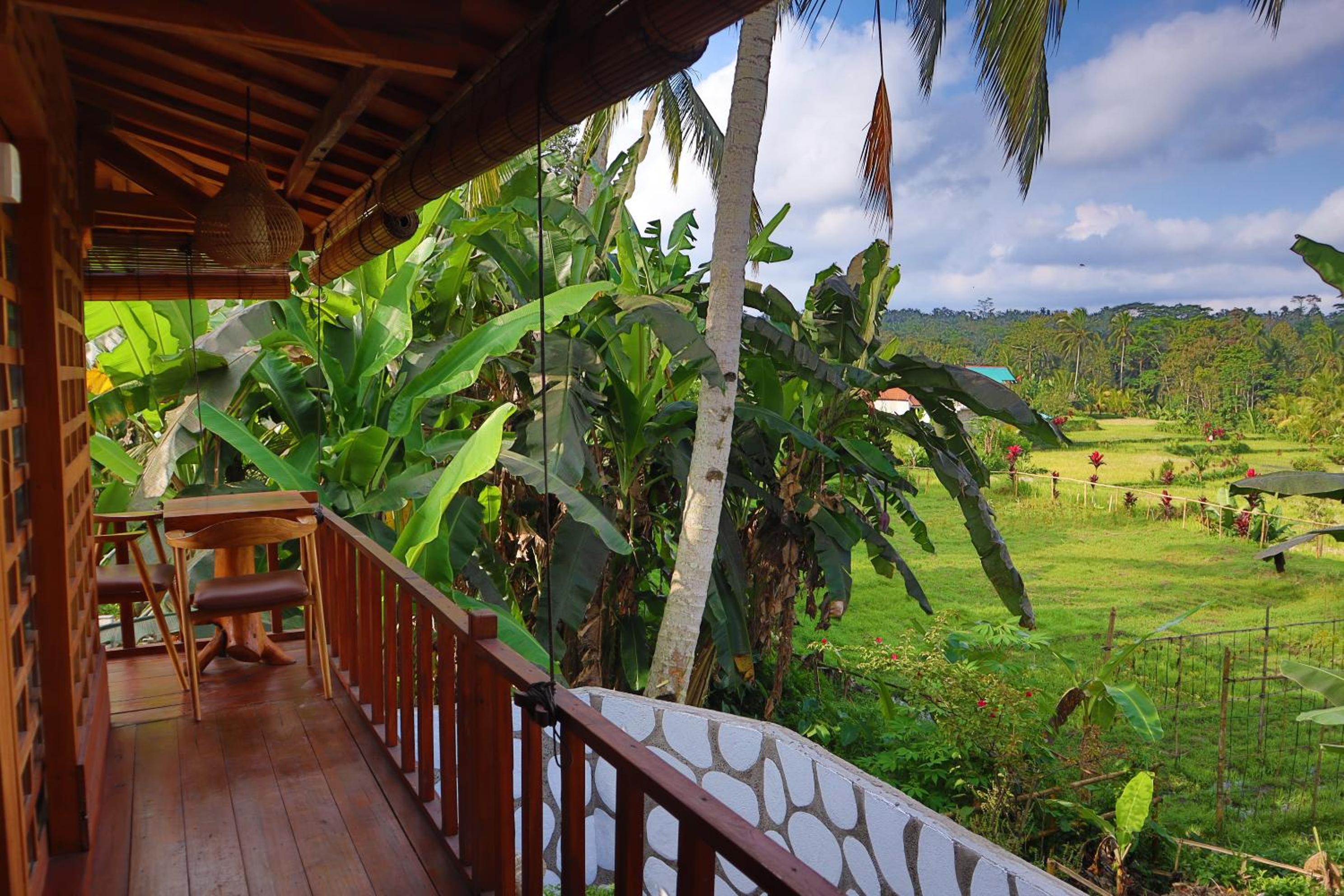 Tropical Bali Villa with 2 Bedrooms view 2