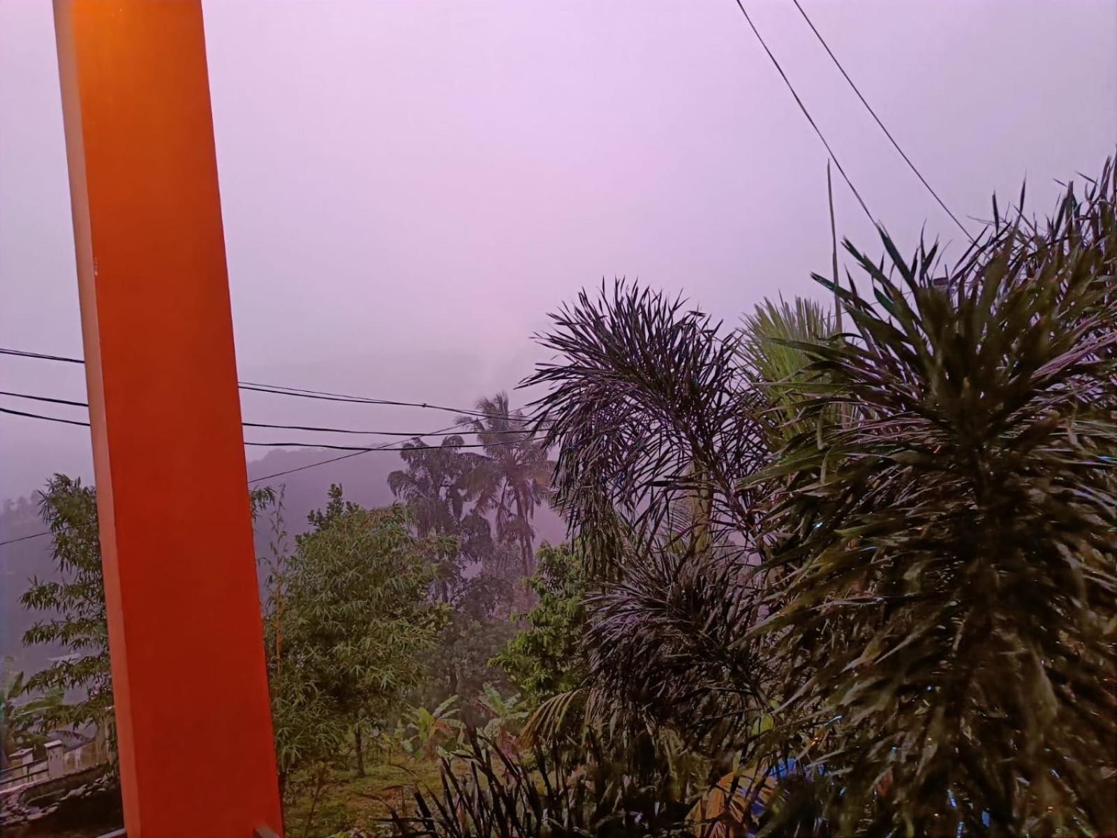 resorts treat view 4