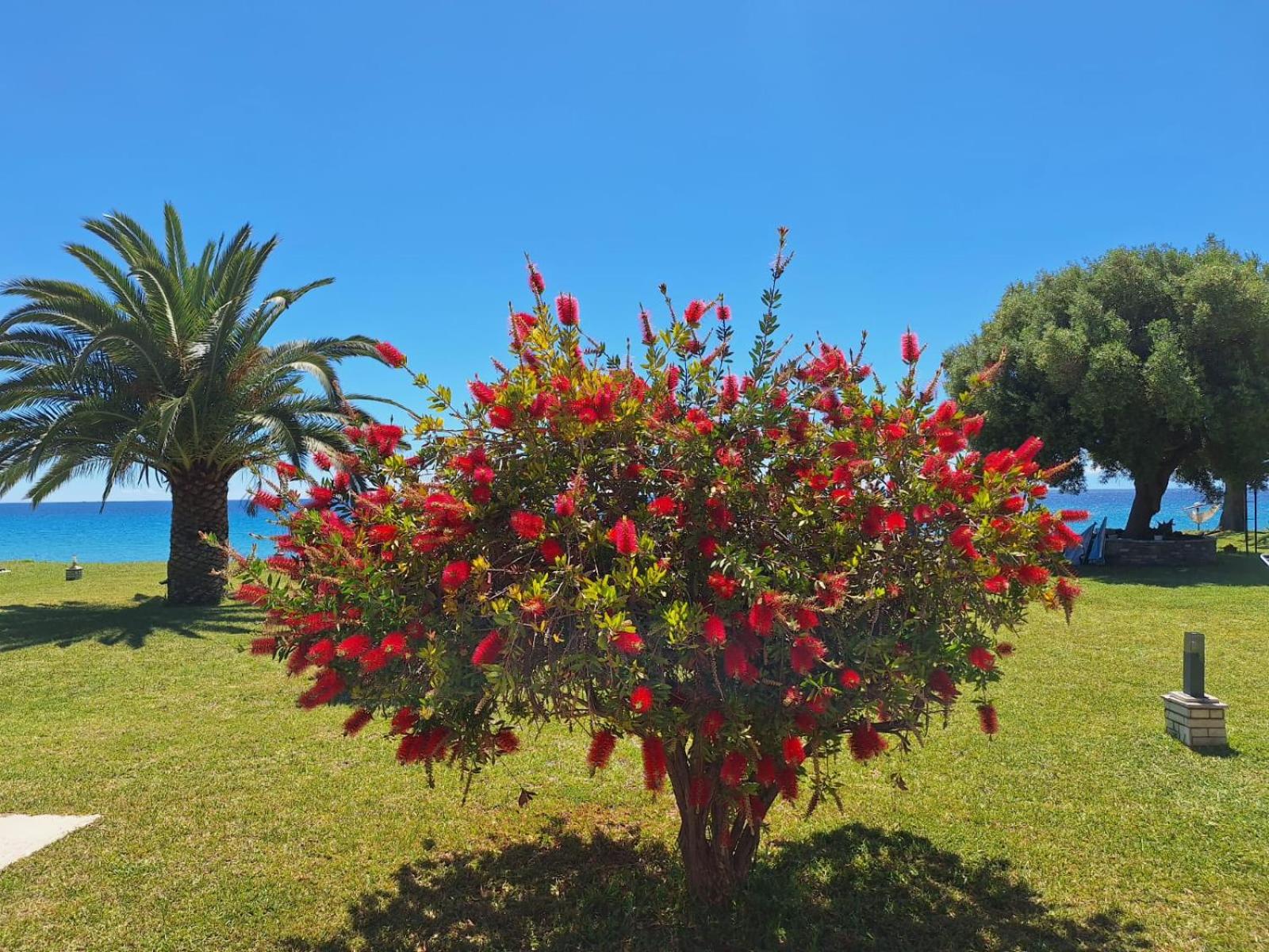 ALKEA beachfront apartment Moles Kalives Halkidiki