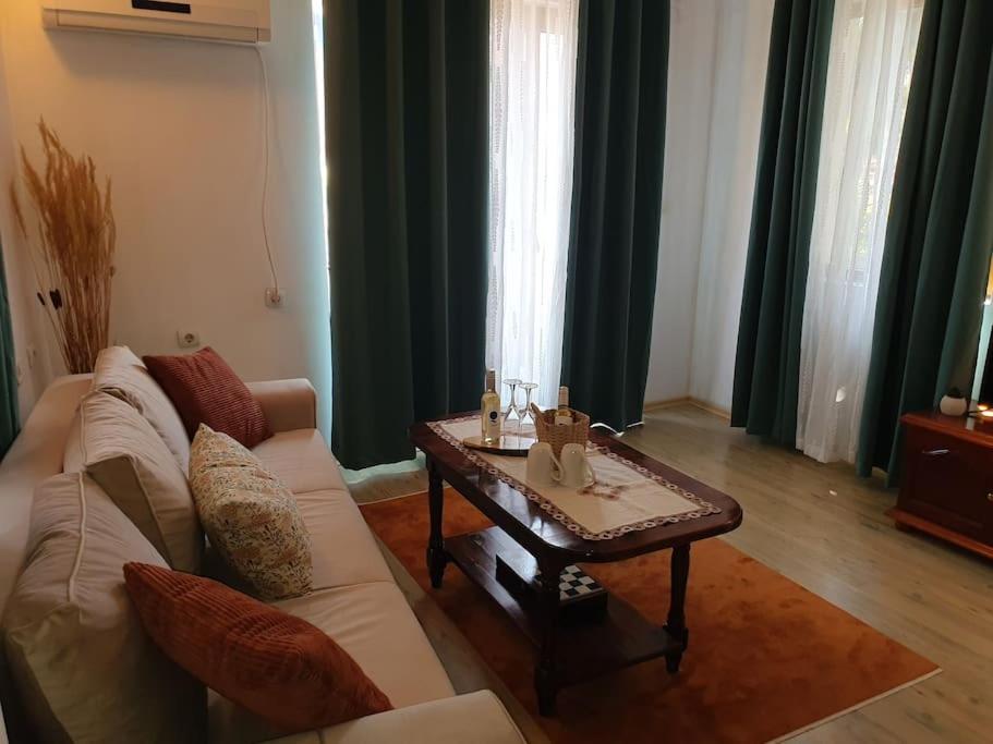 Dvata Smurcha Central Apartments - Free Parking