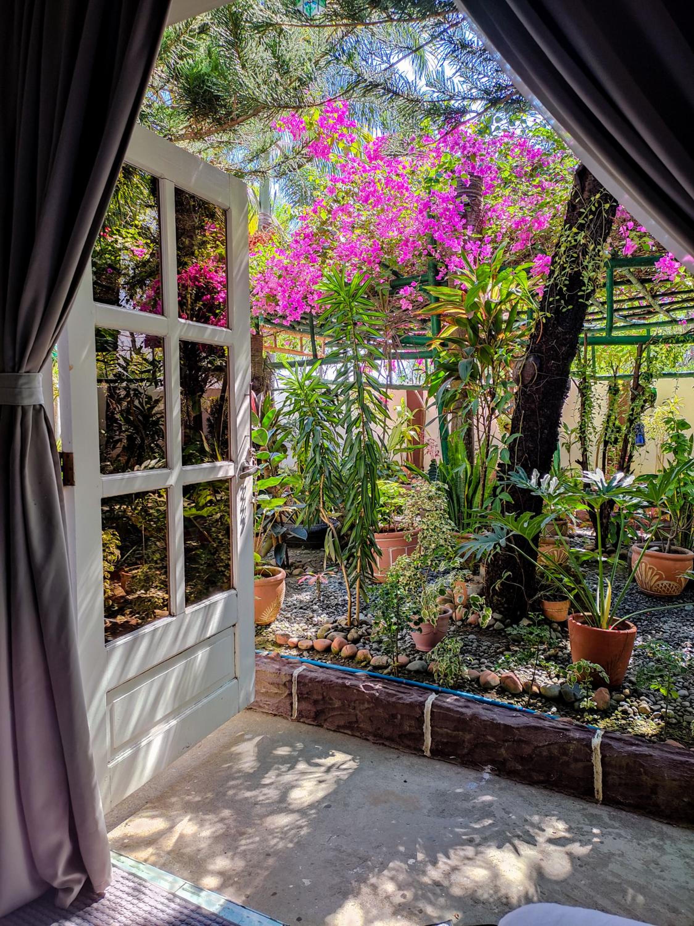 Olana Bed and Breakfast