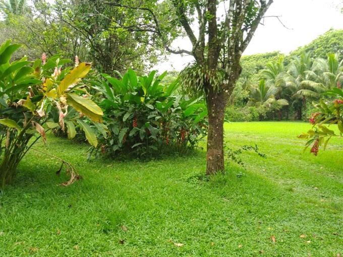 Cascada el tucan view 3