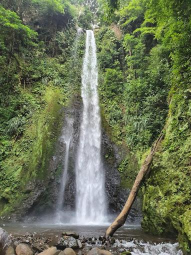 Cascada el tucan view 4