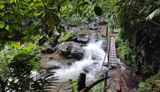 Cascada el tucan view 5