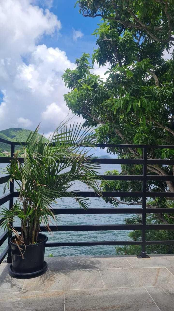 Le Cocotao