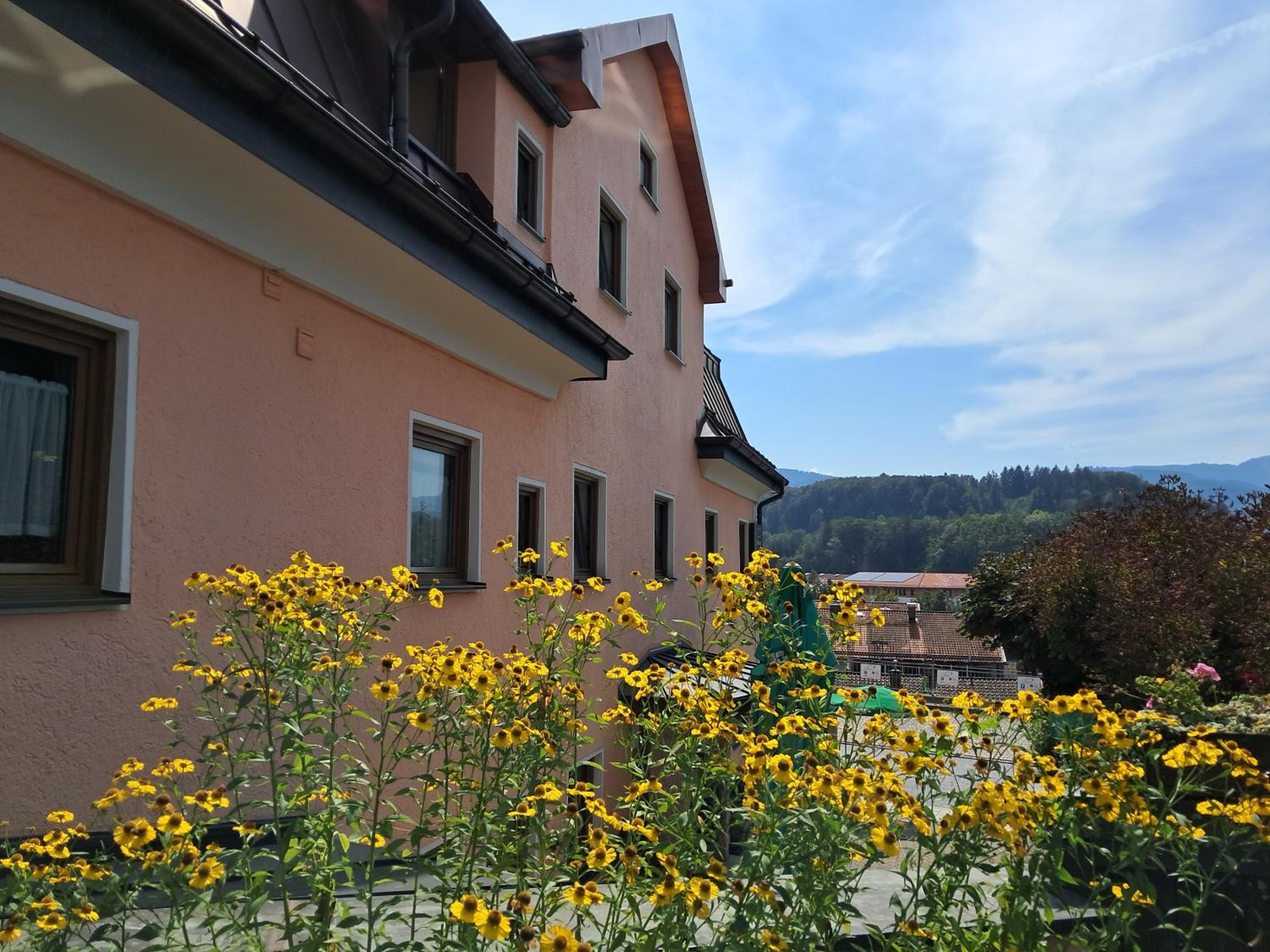 Hotel Garni Edelweiß, photo 22