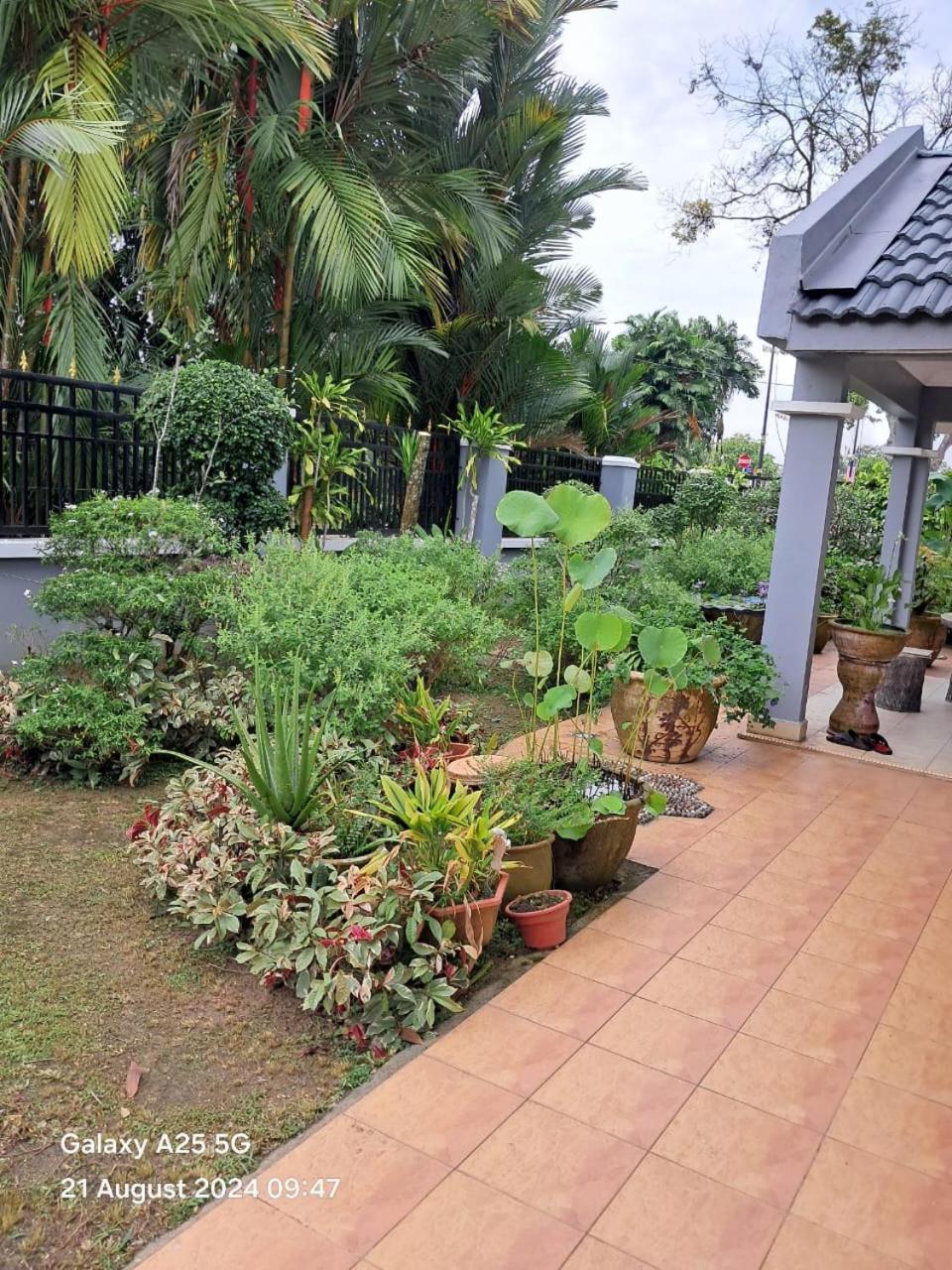 SS Homestay