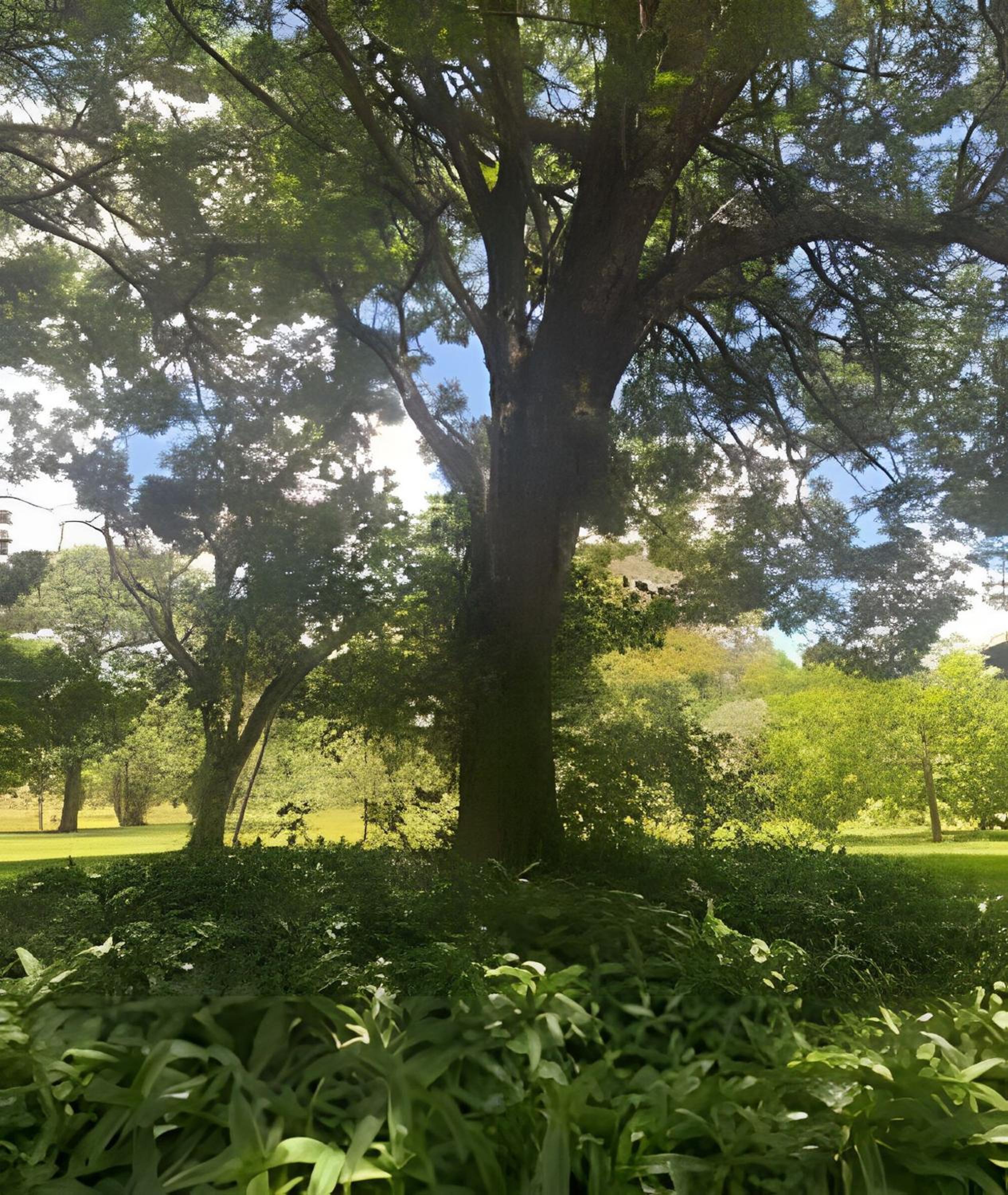 Apartamento Asa Sul - Ao lado do Parque da Cidade!