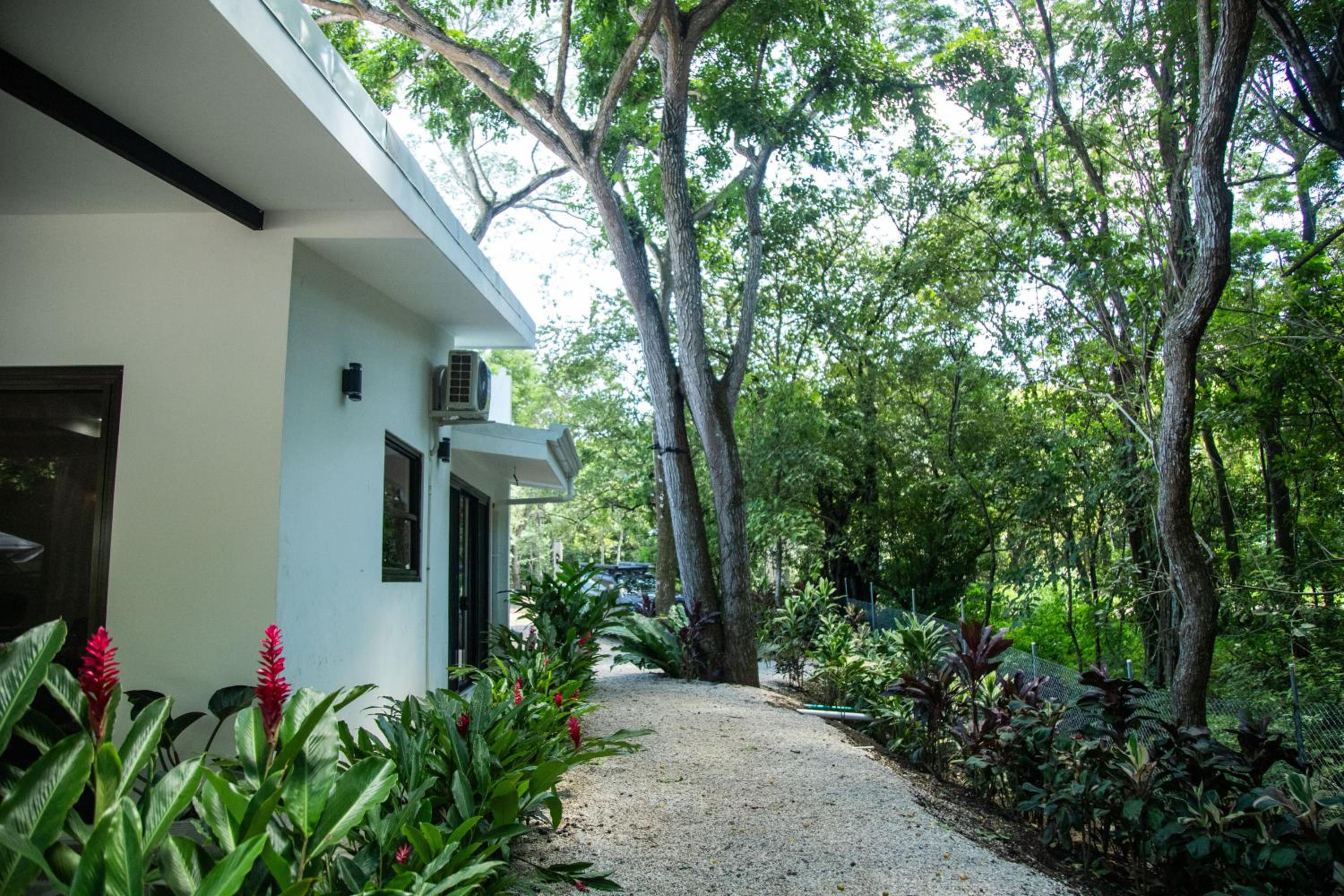 Hotel Bosques de Pinilla