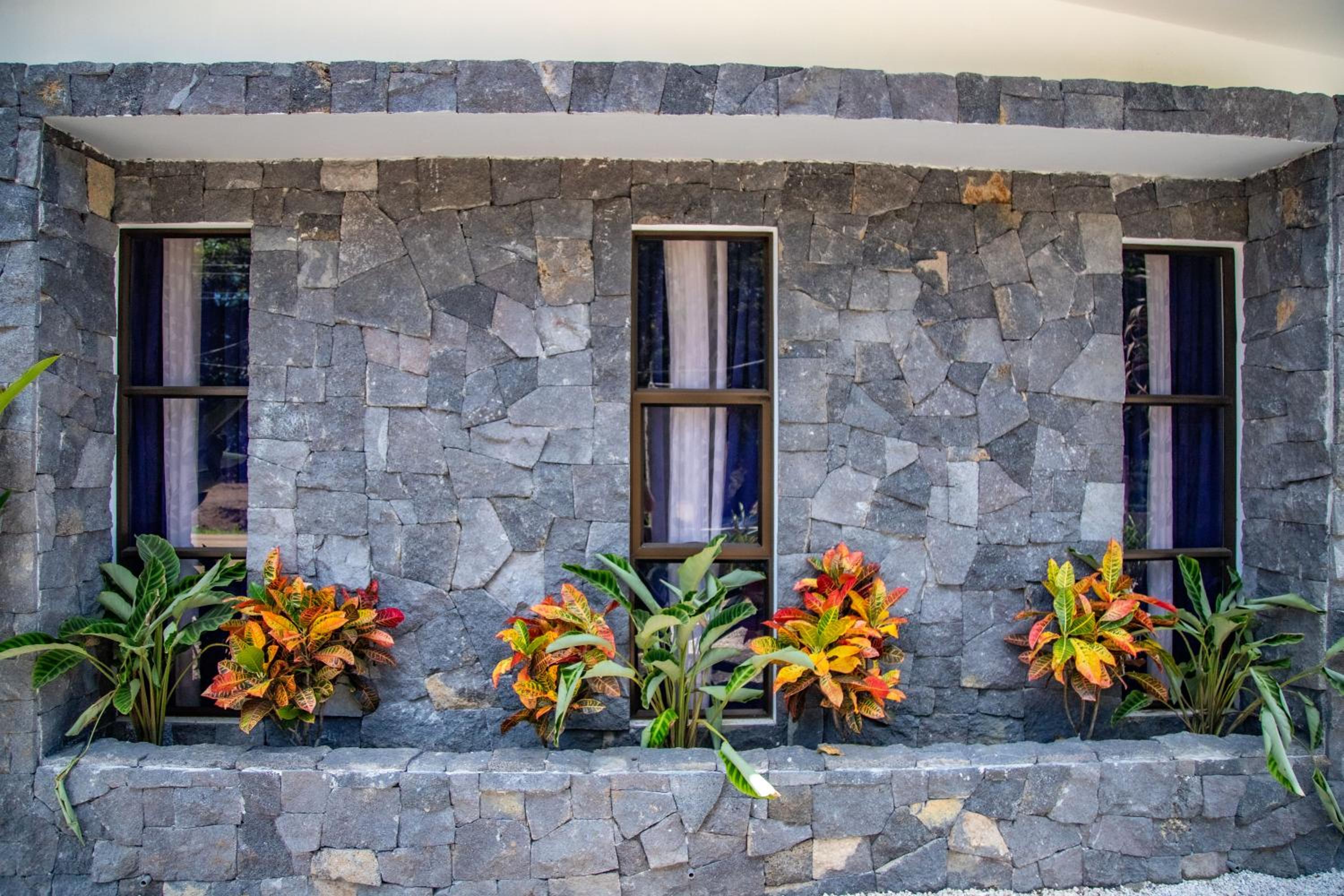 Hotel Bosques de Pinilla