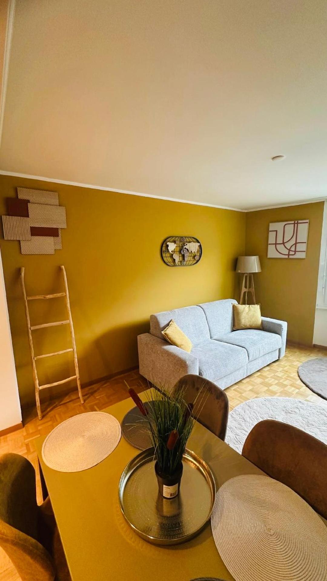 Appartement centre vue lac Léman