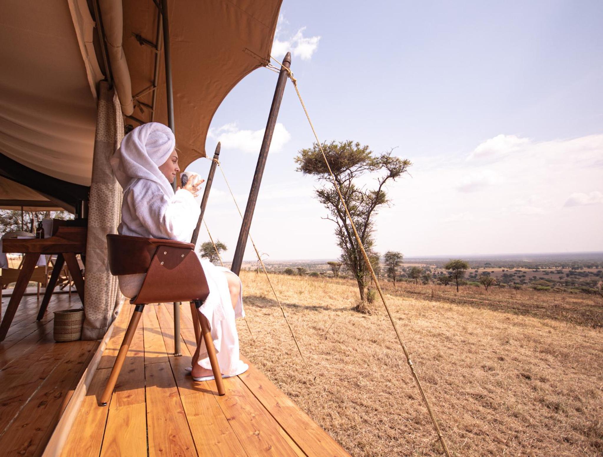 Serengeti National Park Vacations - Serengeti Luxury Retreat - Property Image 12