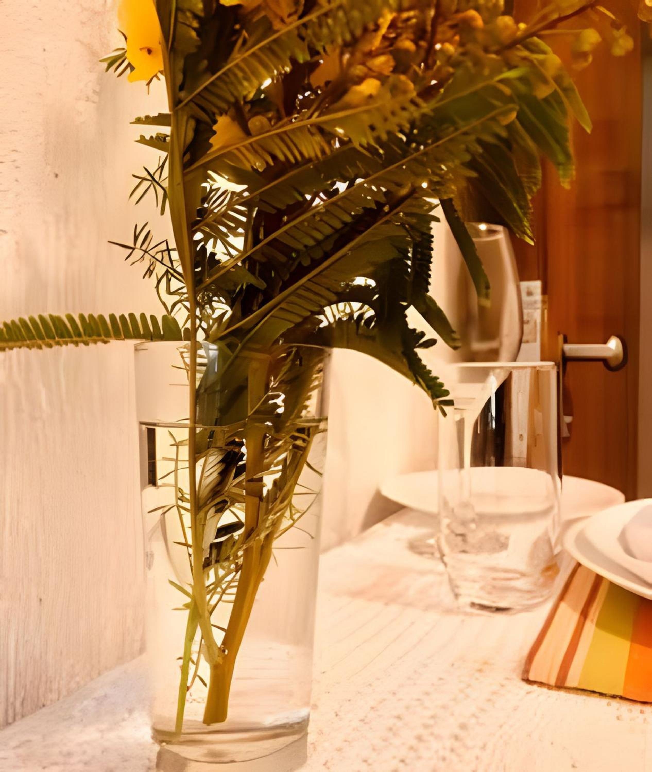 Bouganville Studio Brasília.