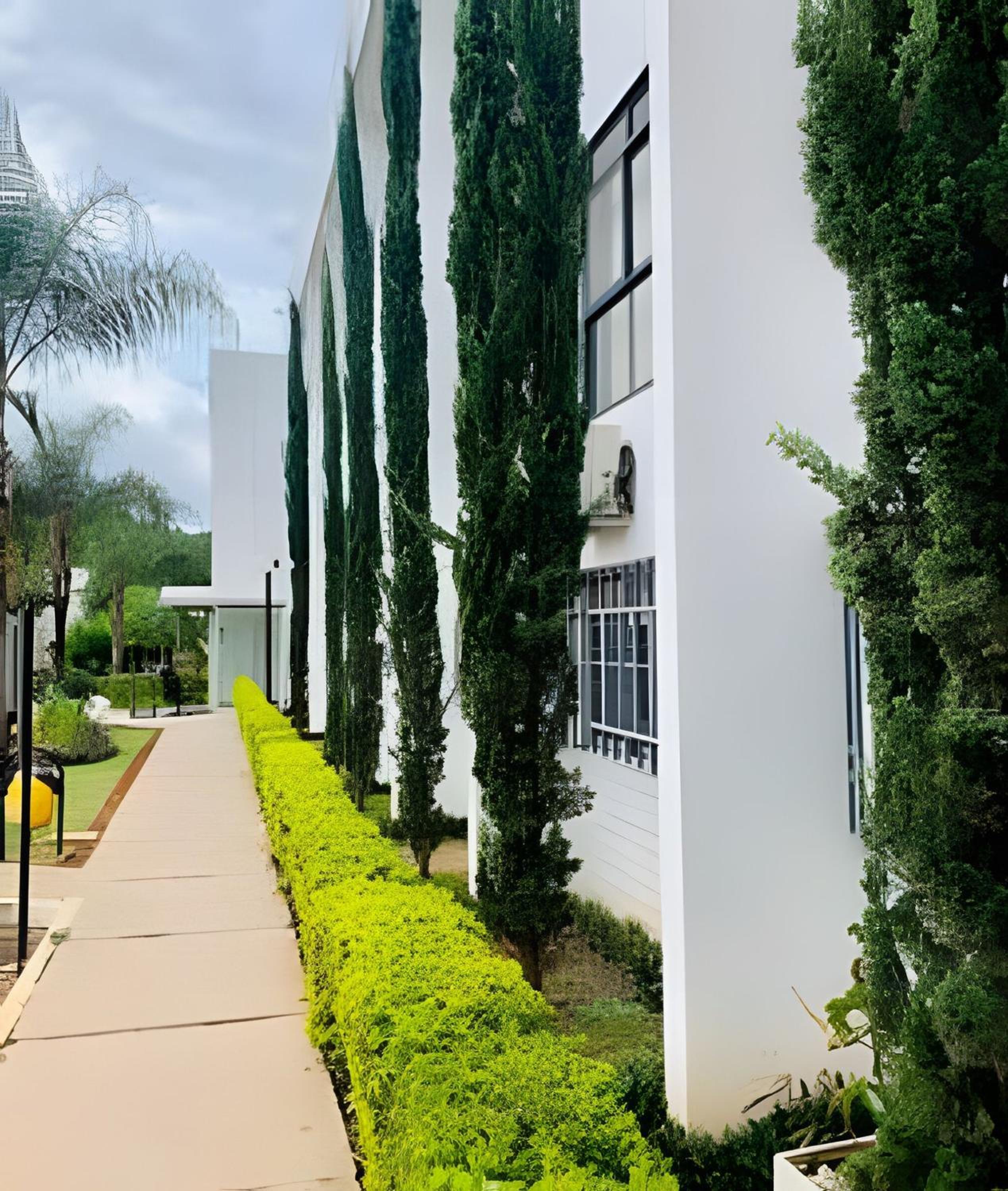 Bouganville Studio Brasília.
