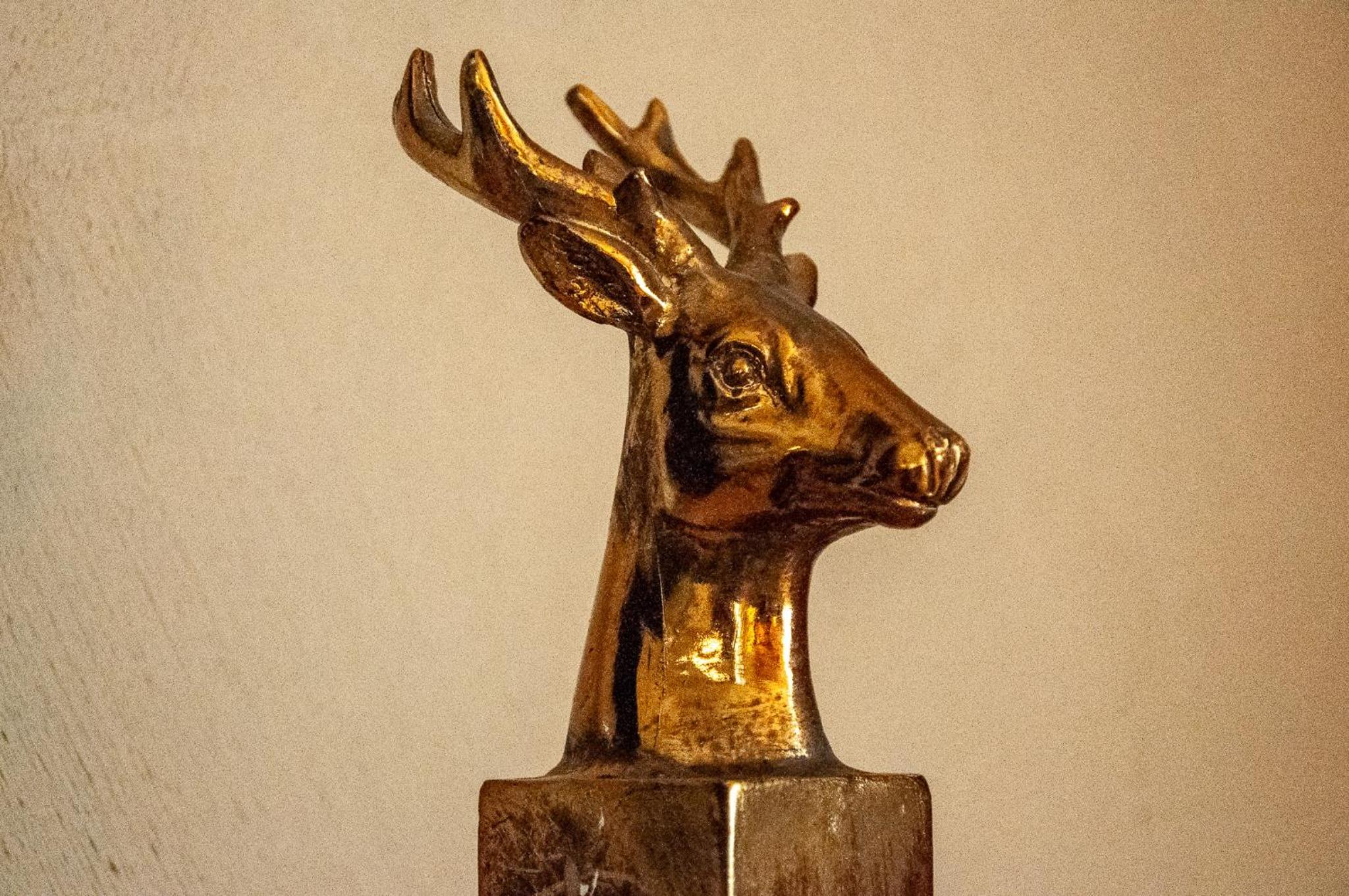 Le Cerf coiffé