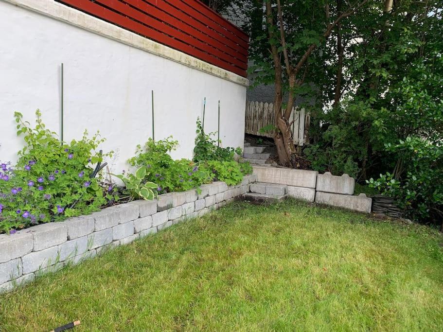 Photo 46