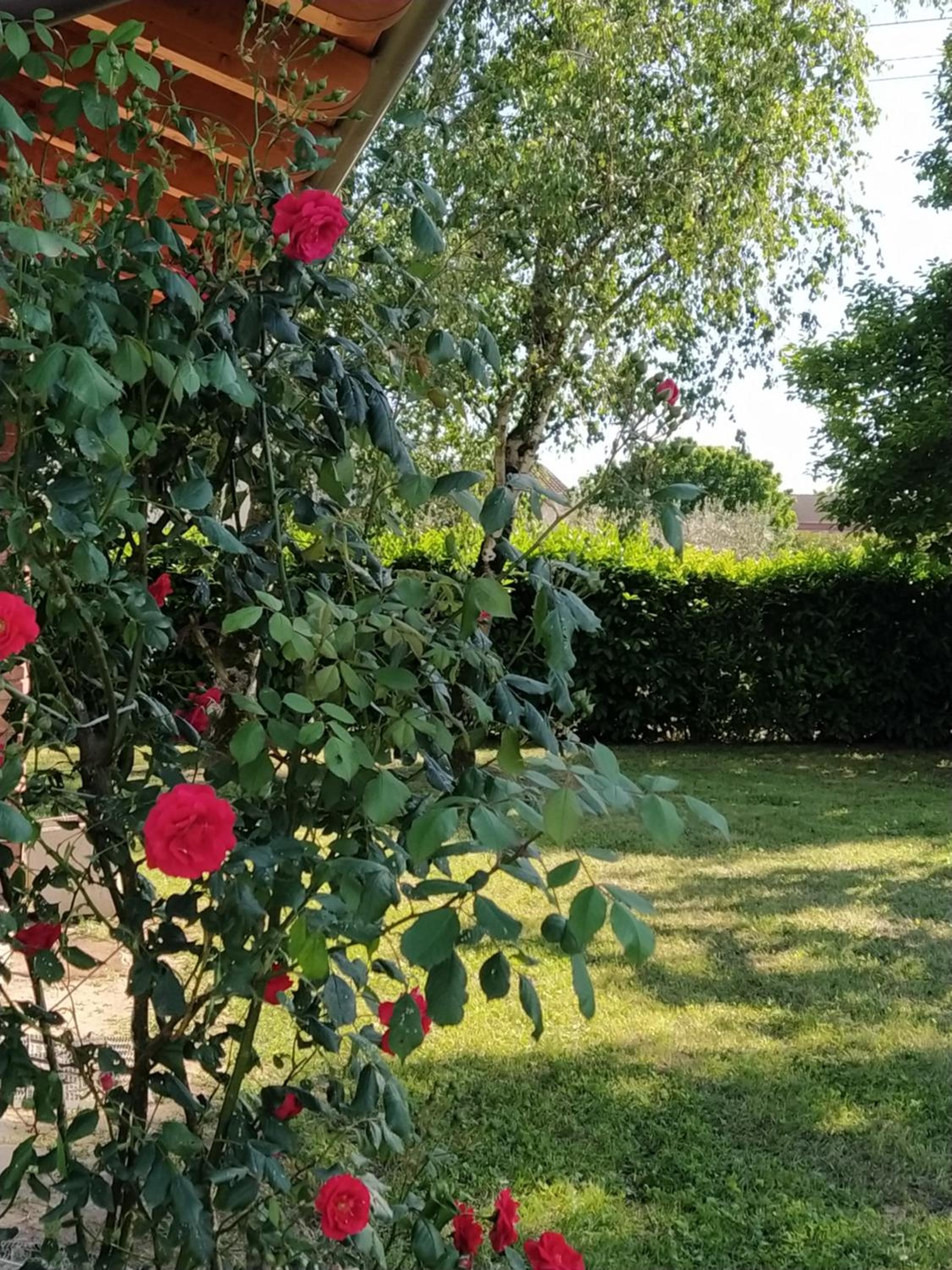 Il Casale dell'Airone view 4