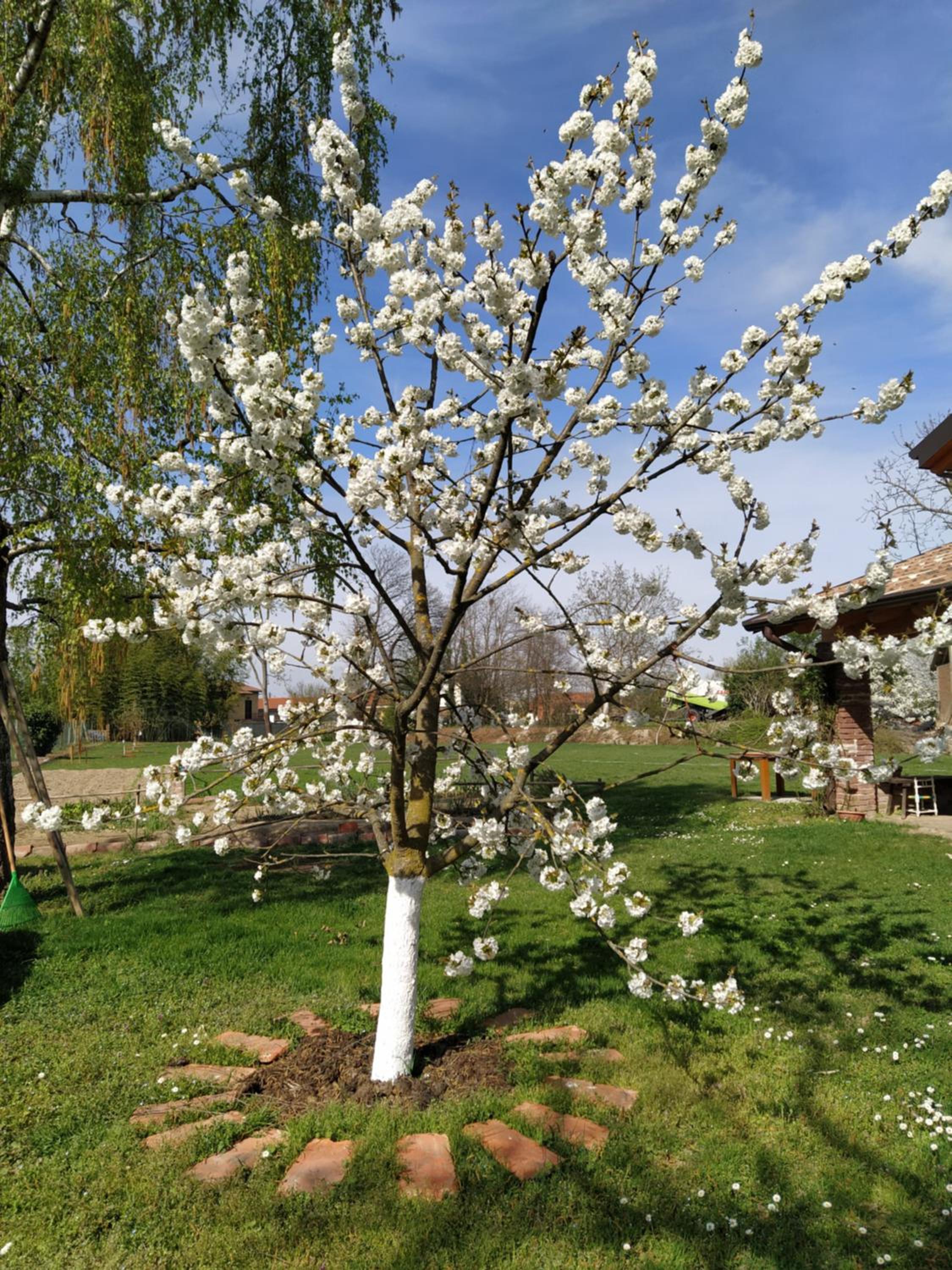 Photo 22