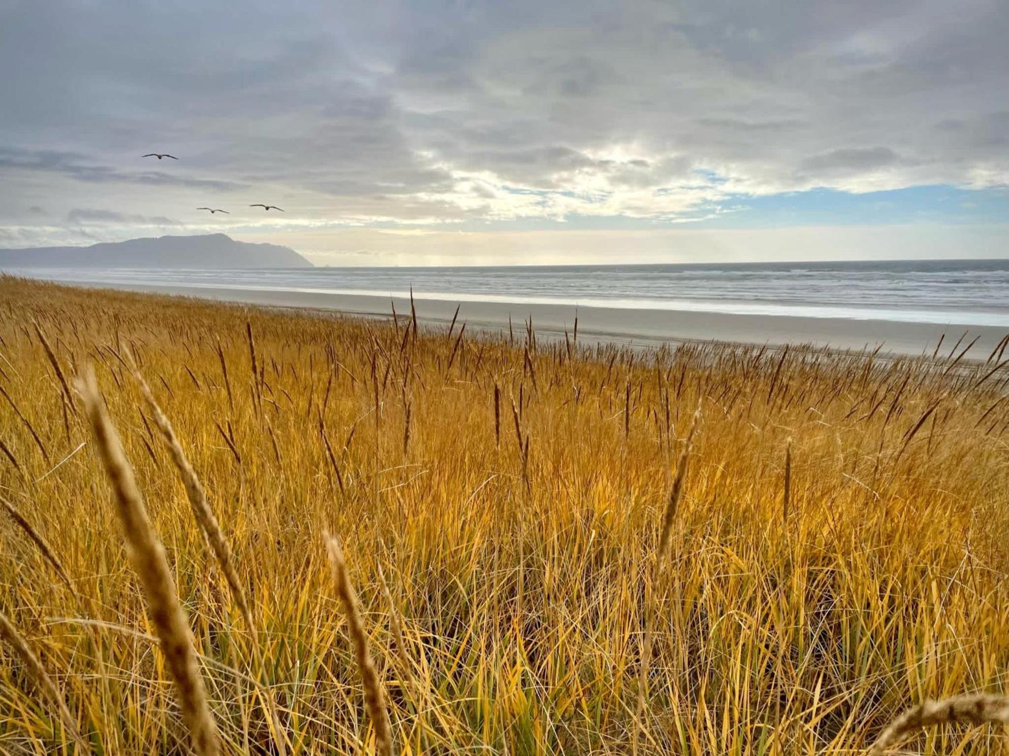 Elk Ridge - Lux oceanfront family retreat view 2