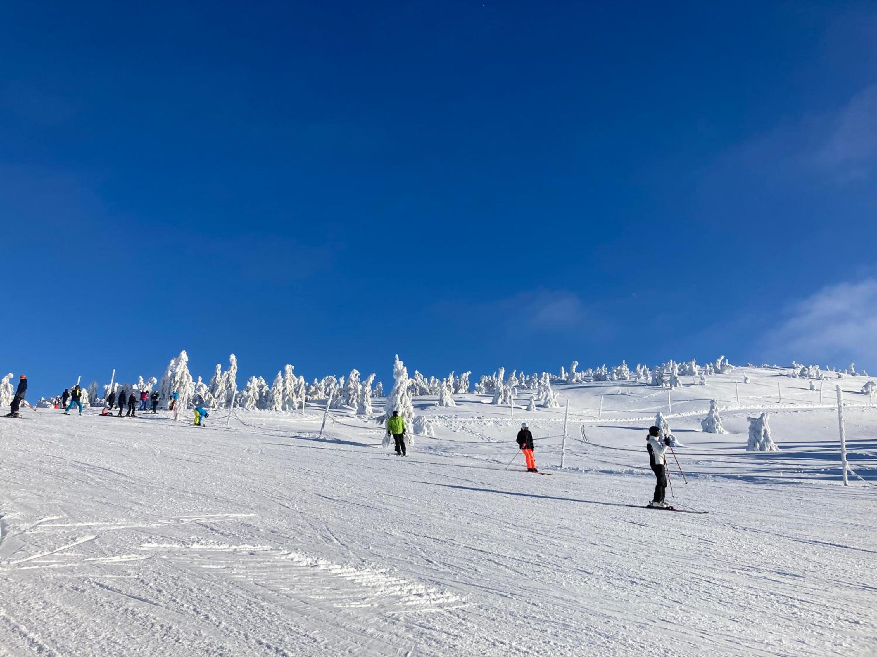 Apartmán Krkonoše Rokytnice