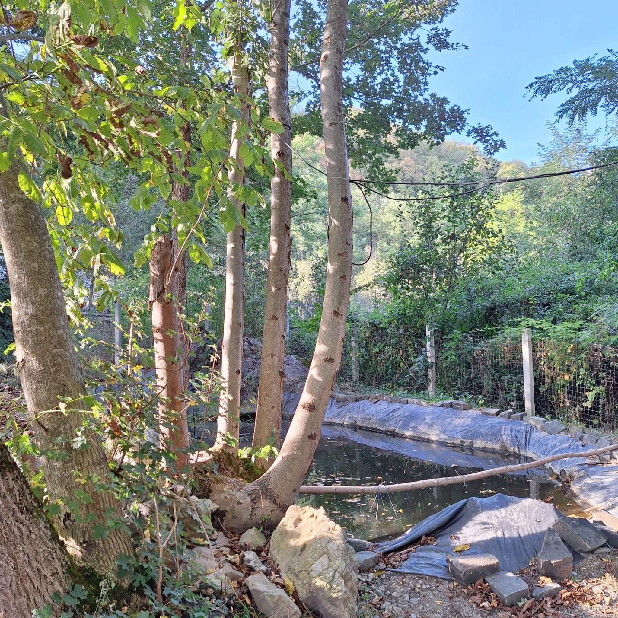 Cabana Pietrar