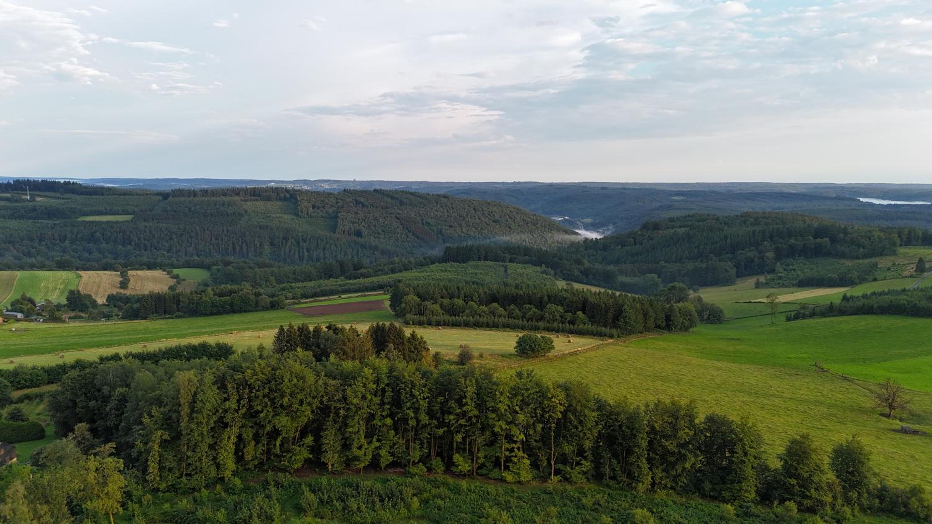 Les Caliciades 1 à Gros-Fays