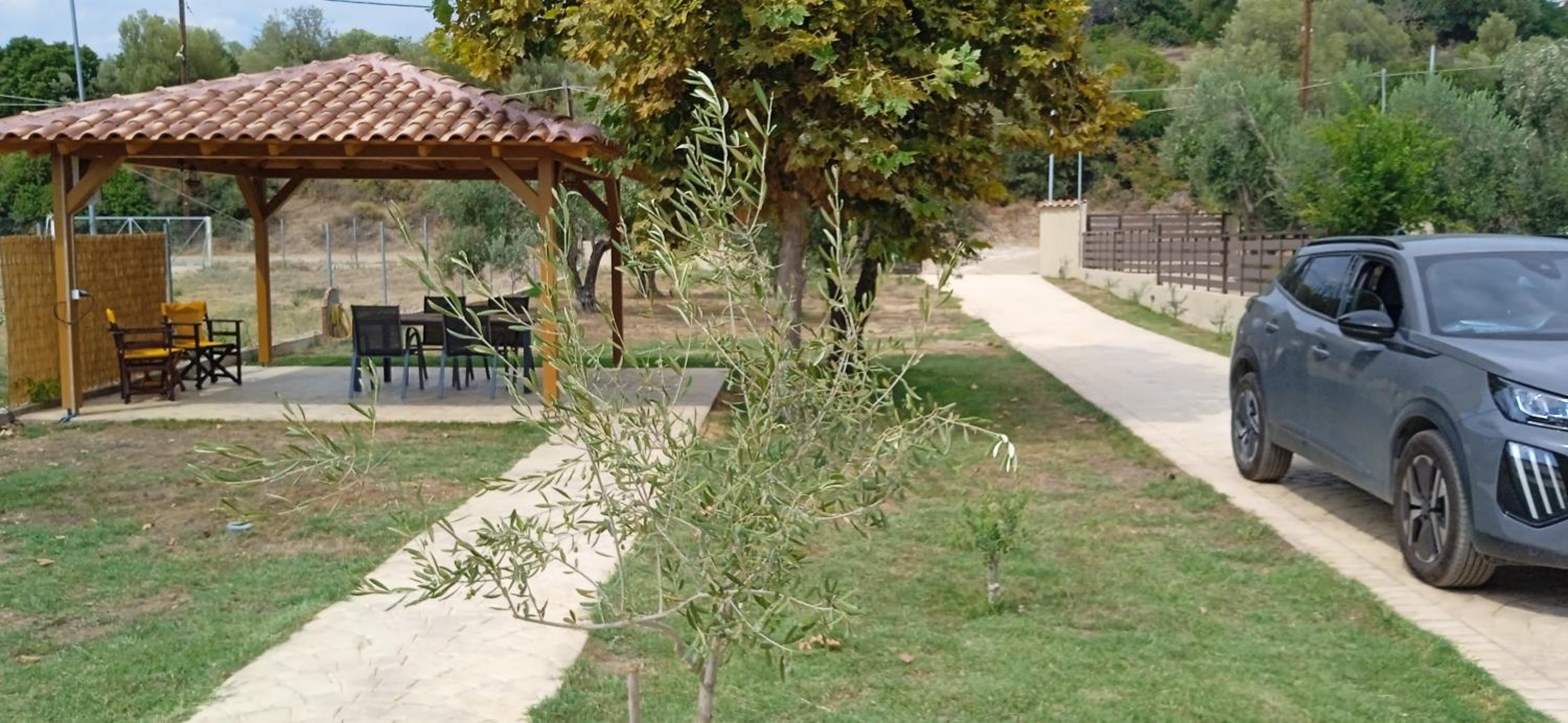 Photo 11
