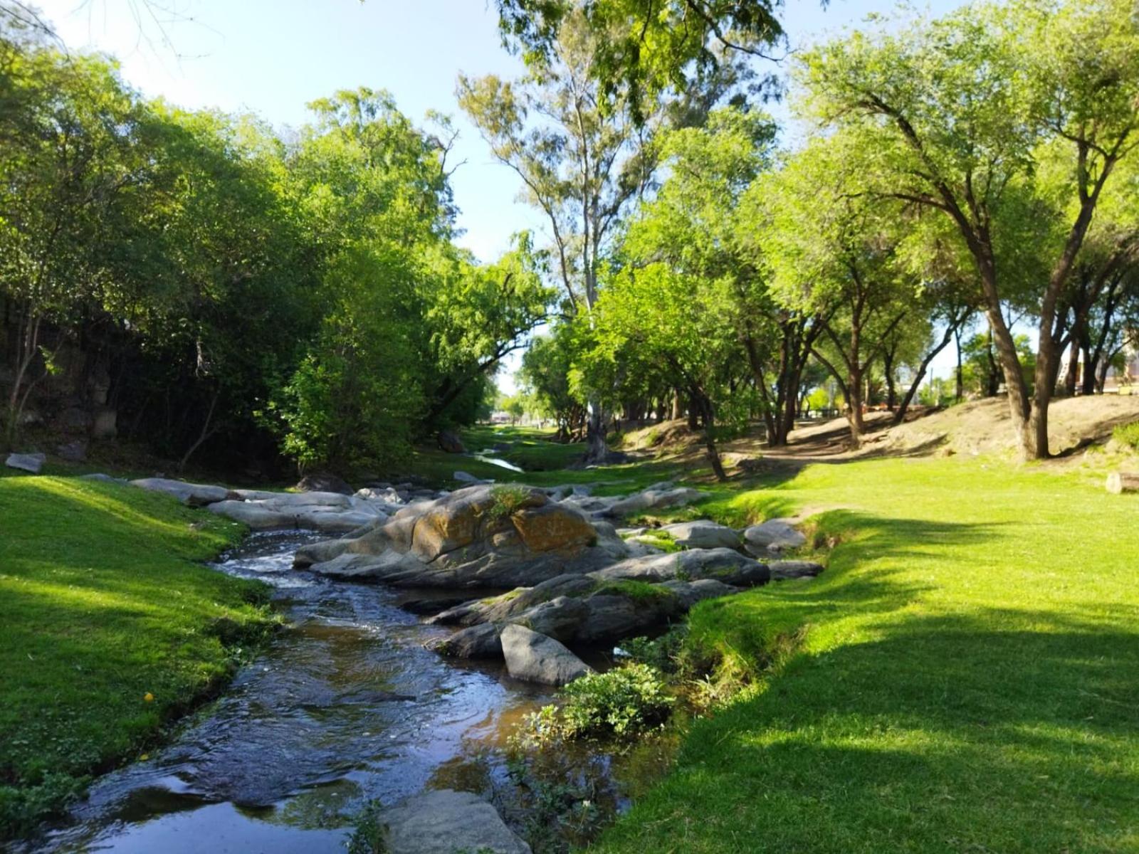 El Aromito