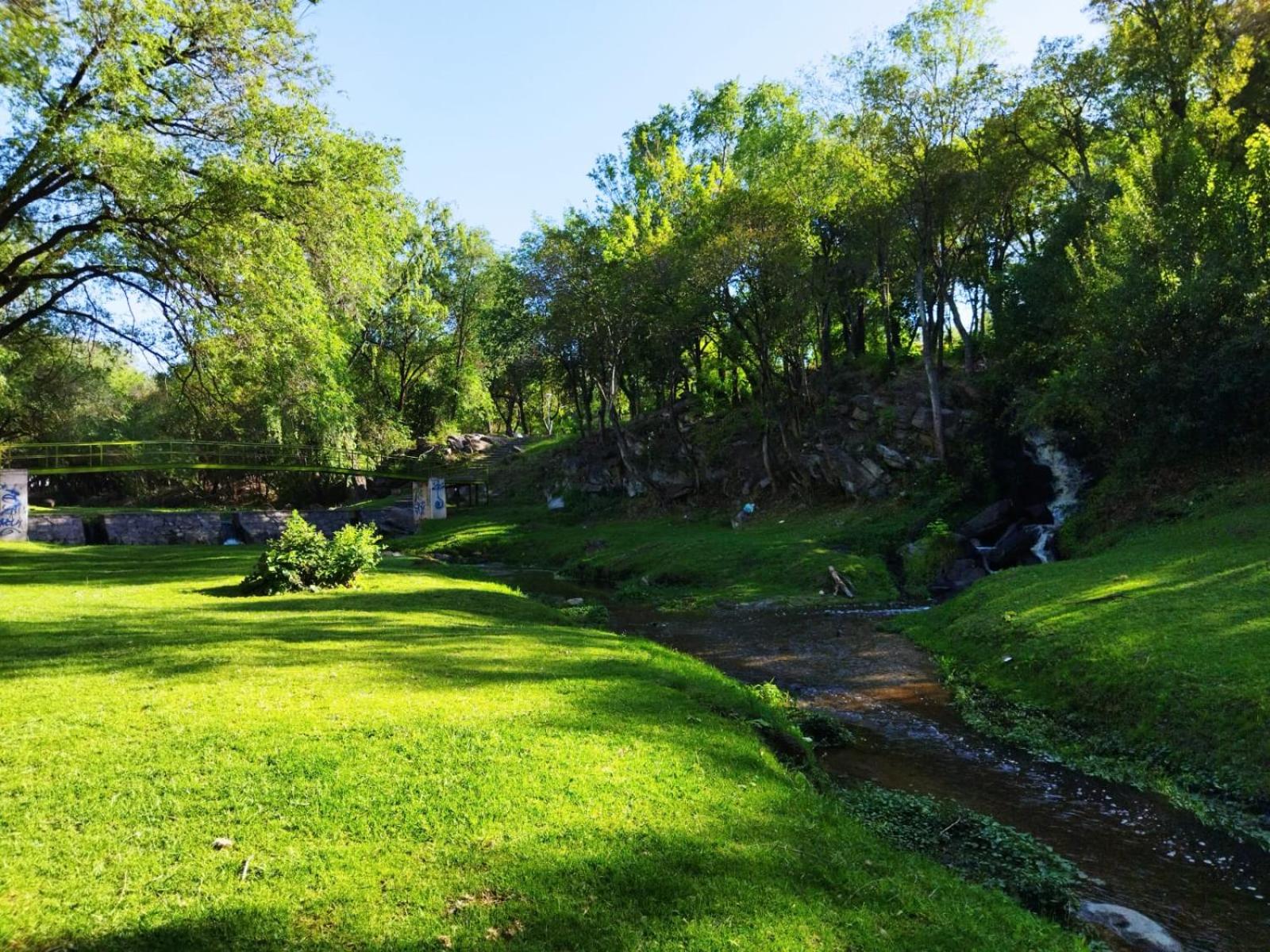 El Aromito