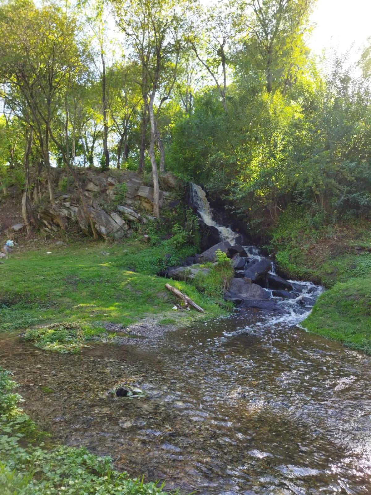 El Aromito
