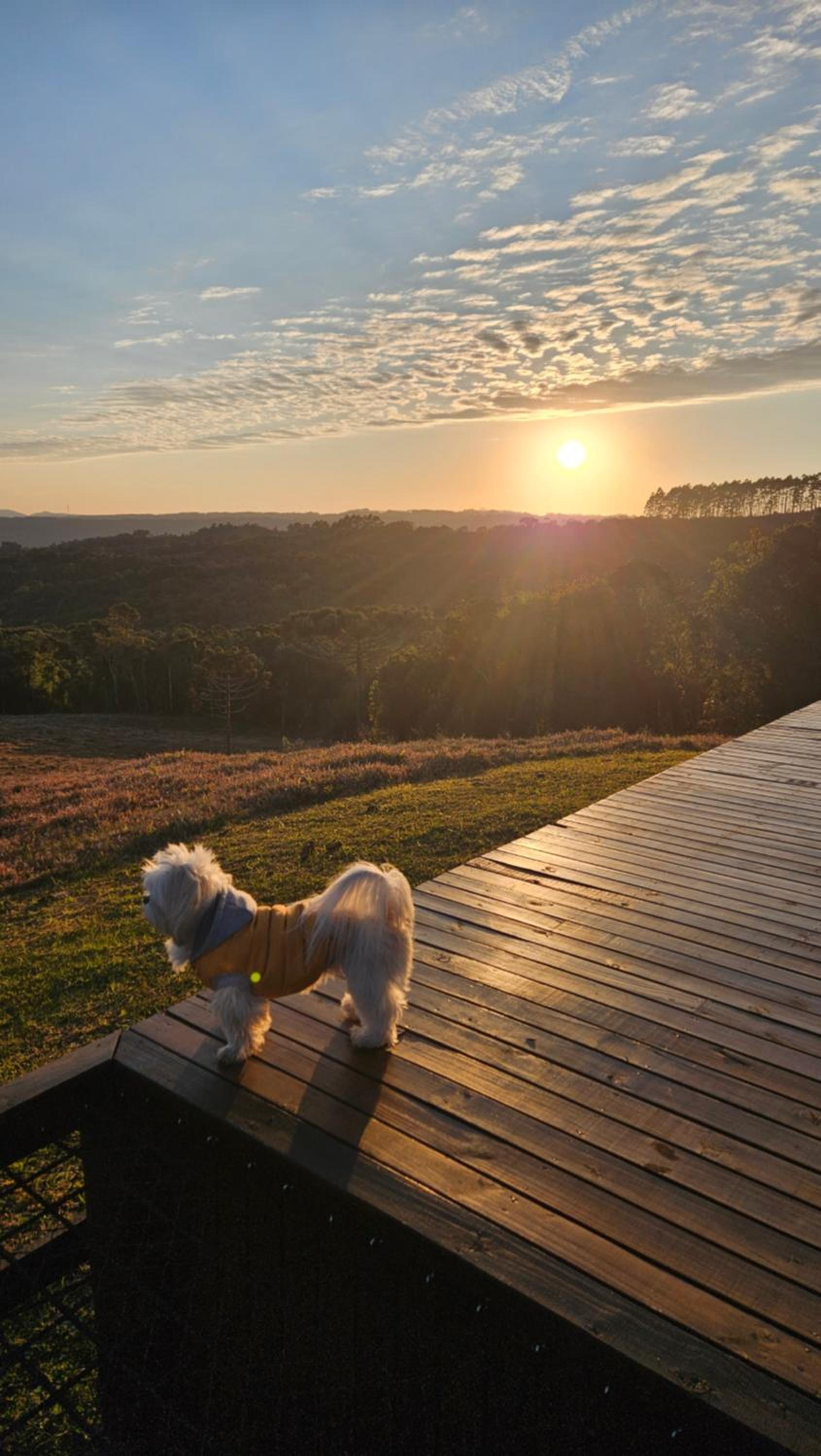 Cabana na montanha, com hidro e Vista espetacular