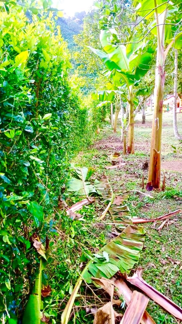 Finca el troya