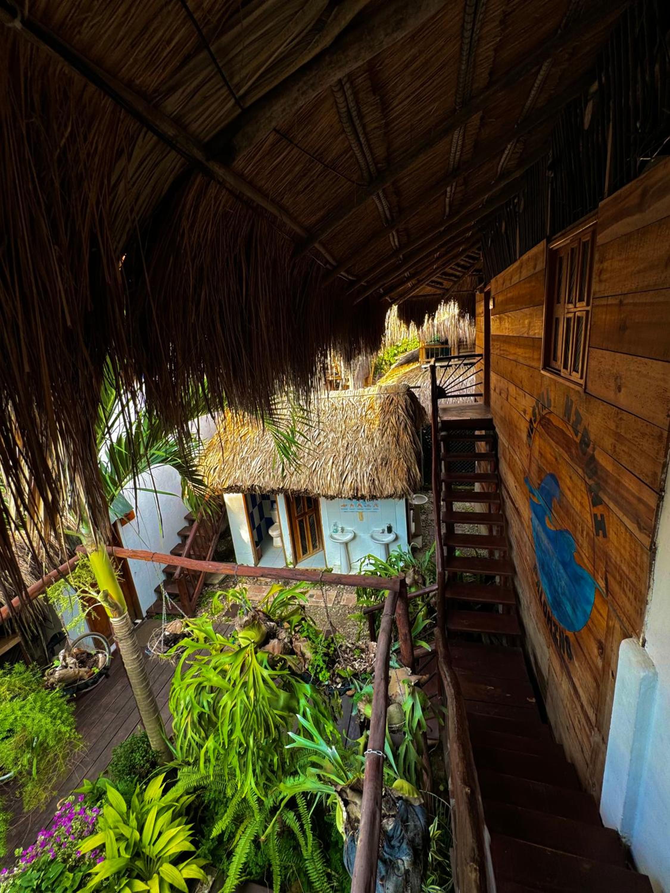 Hostal Nibuni Palomino
