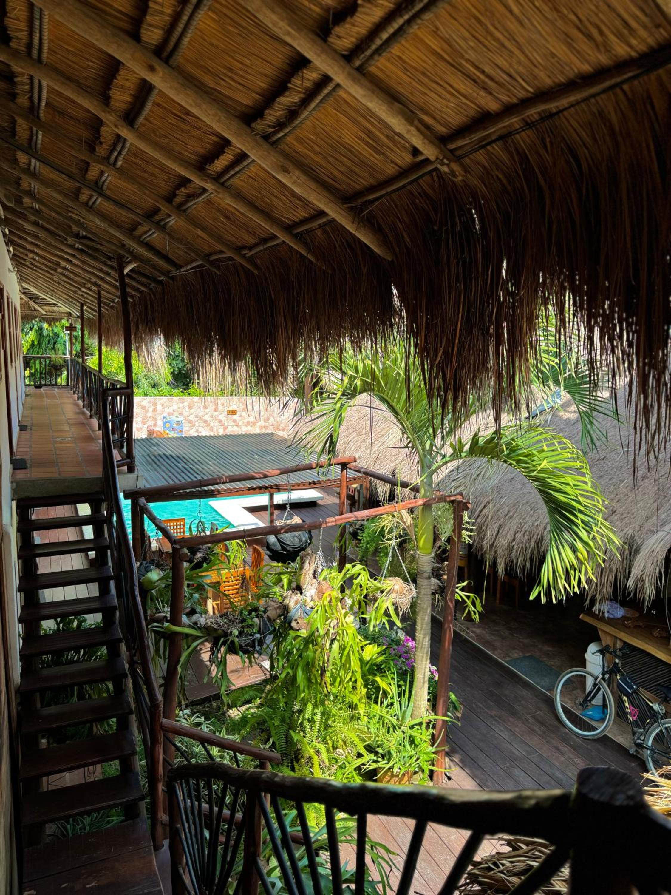 Hostal Nibuni Palomino