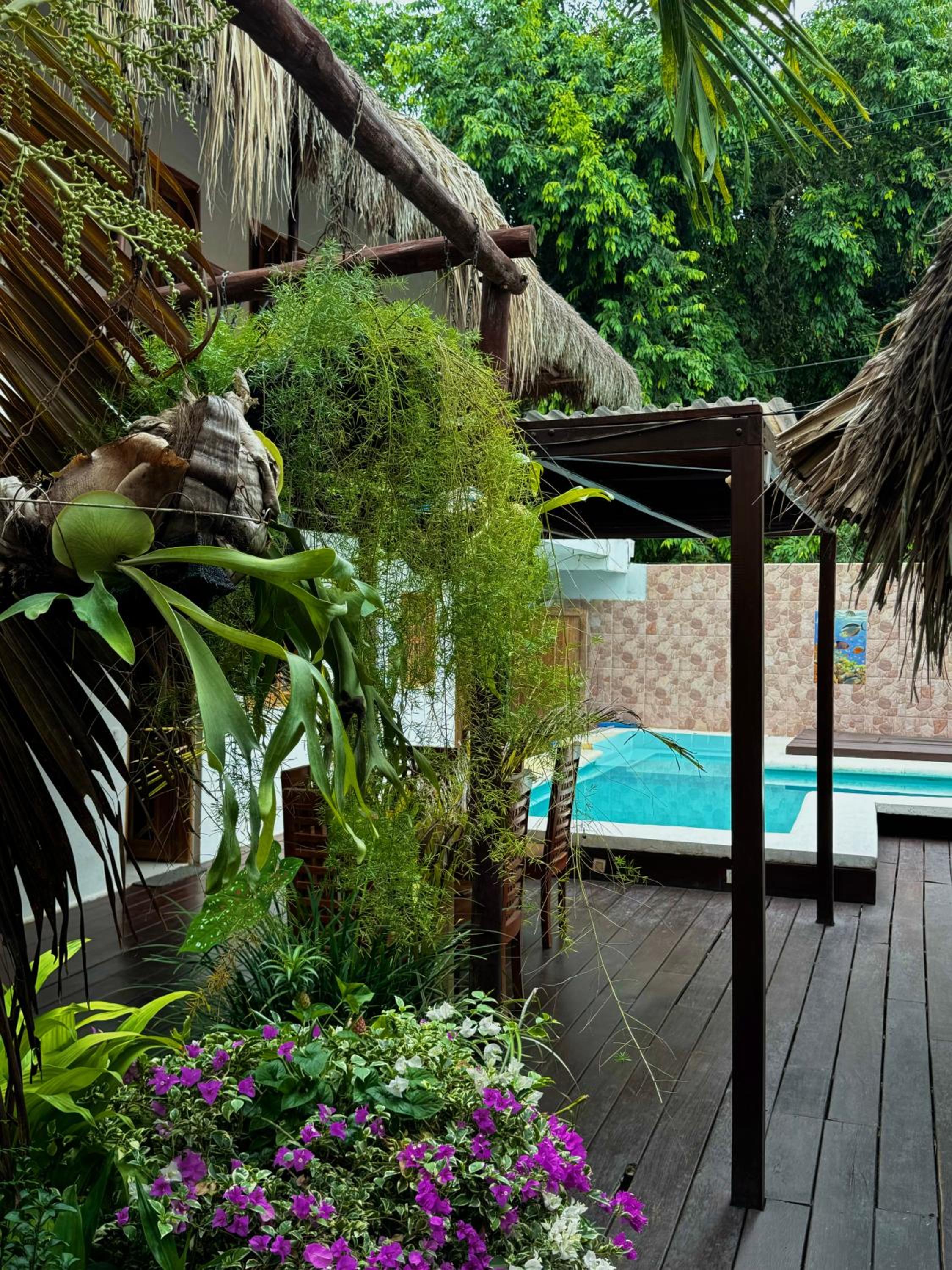 Hostal Nibuni Palomino
