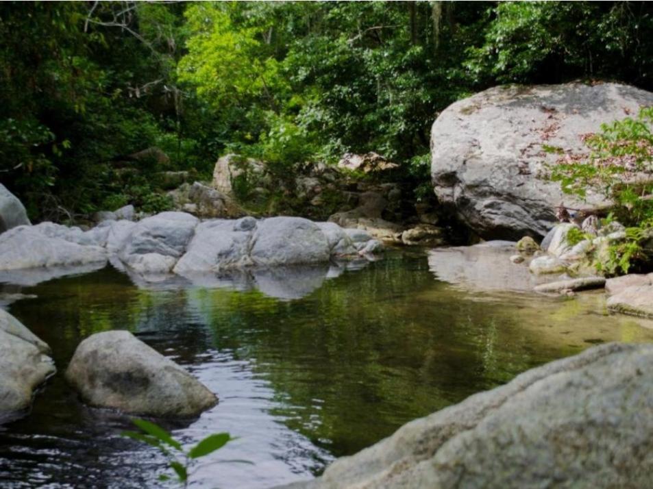 ECOCABAÑAS DIOSA JAGUAR tayrona
