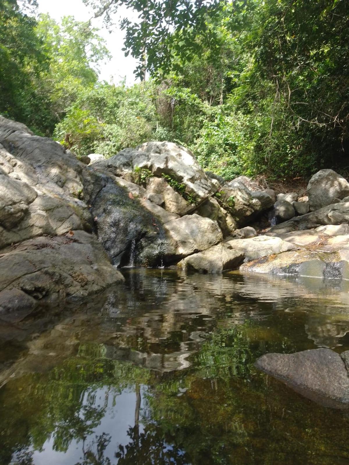 ECOCABAÑAS DIOSA JAGUAR tayrona