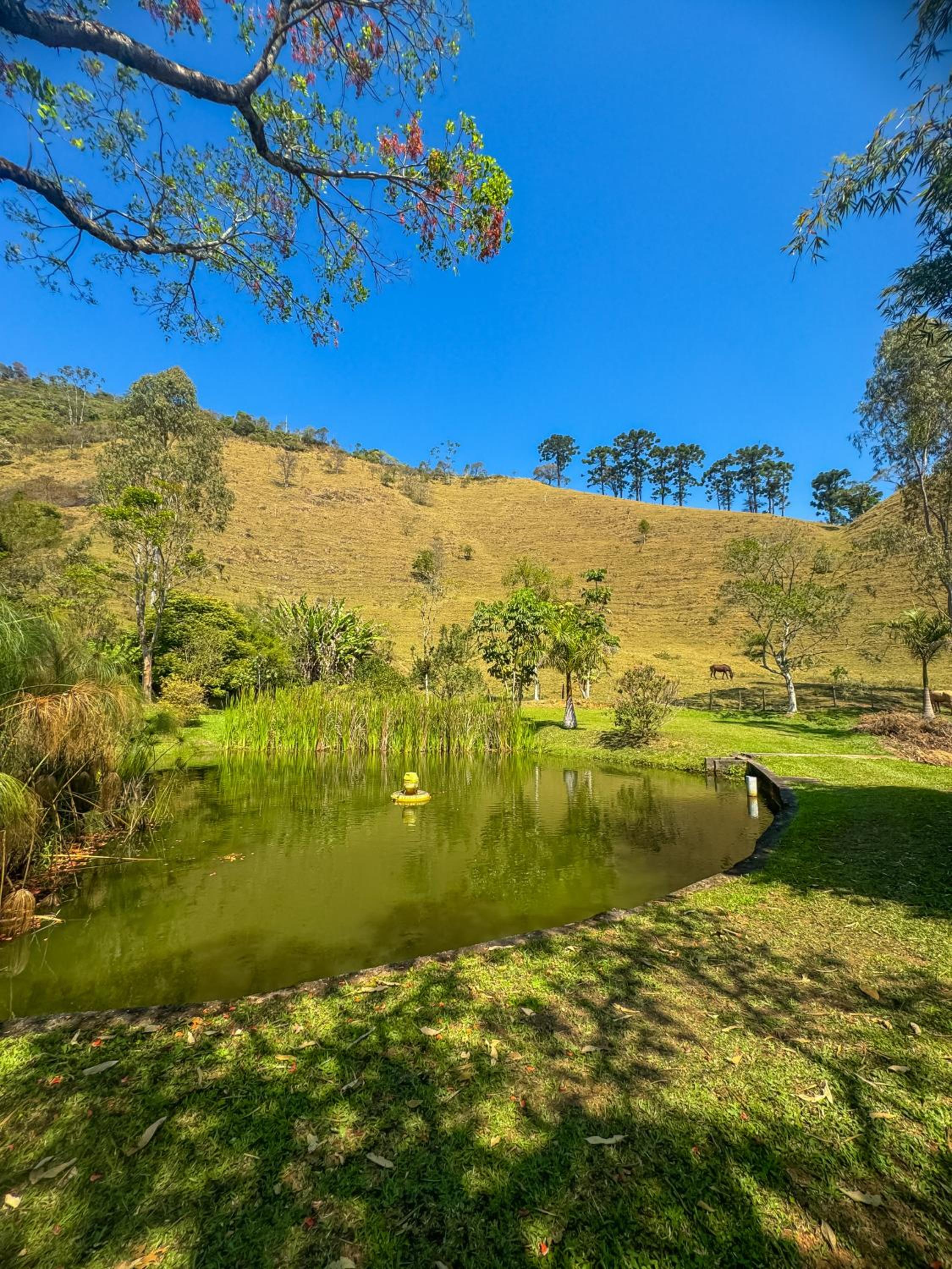 Pousada Rio Dos Cristais
