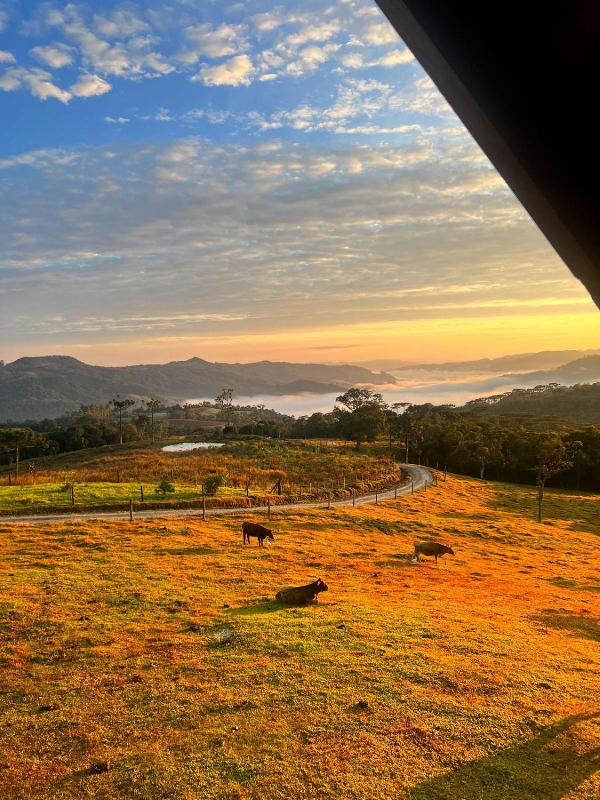 Cabana na montanha, com hidro e Vista espetacular
