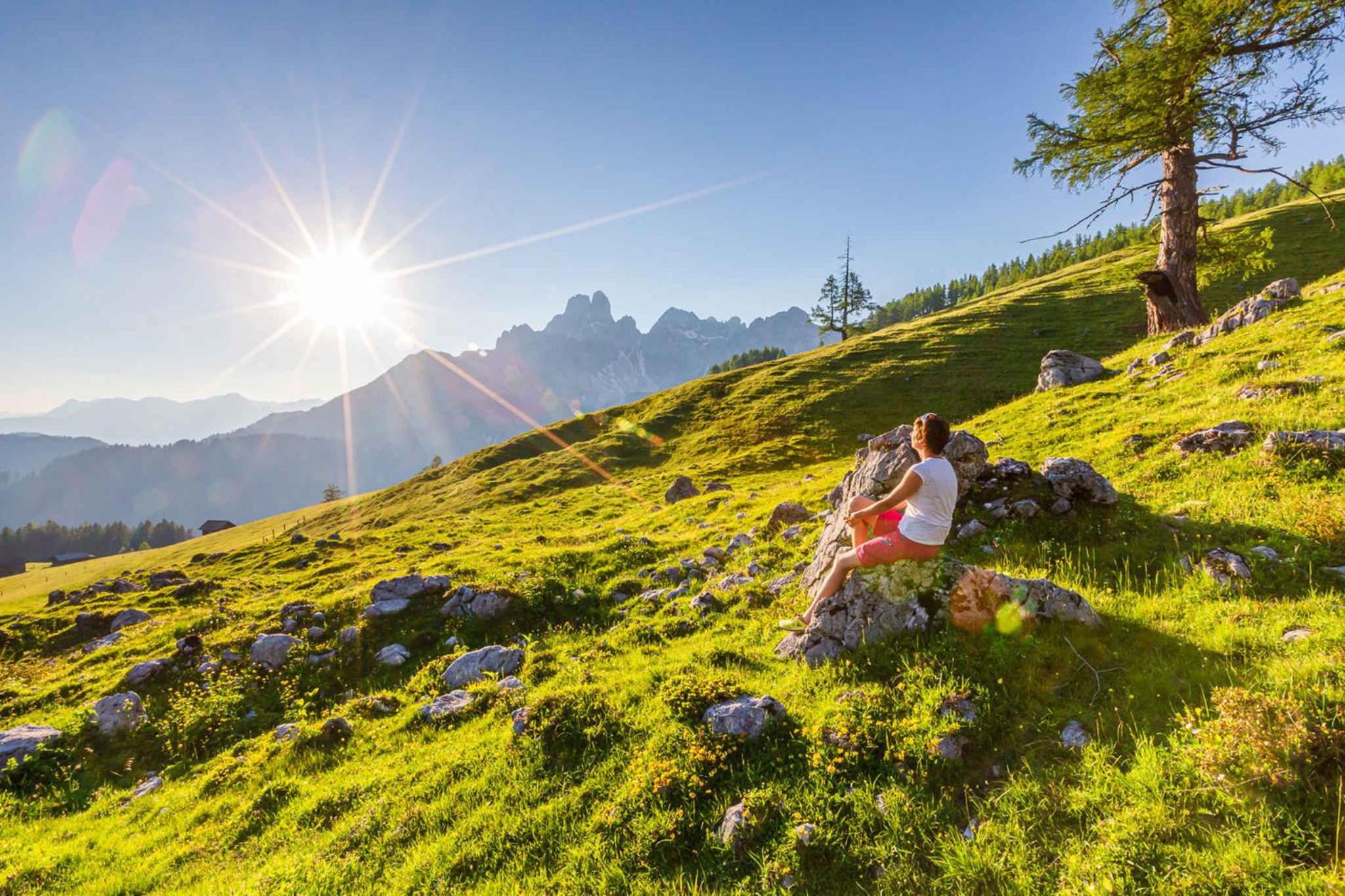 Apartments in Filzmoos - Salzburger Land 41136