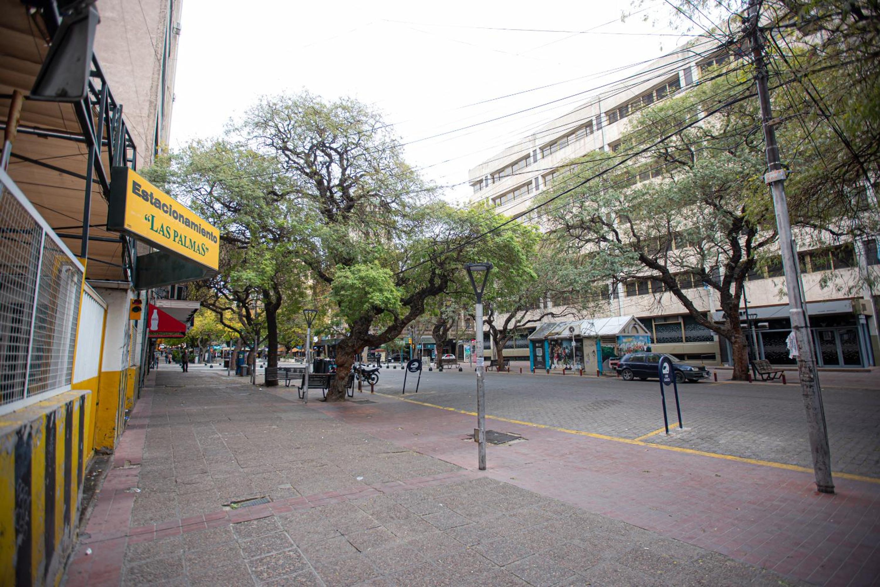 Semipiso céntrico con hermosas vistas de la ciudad
