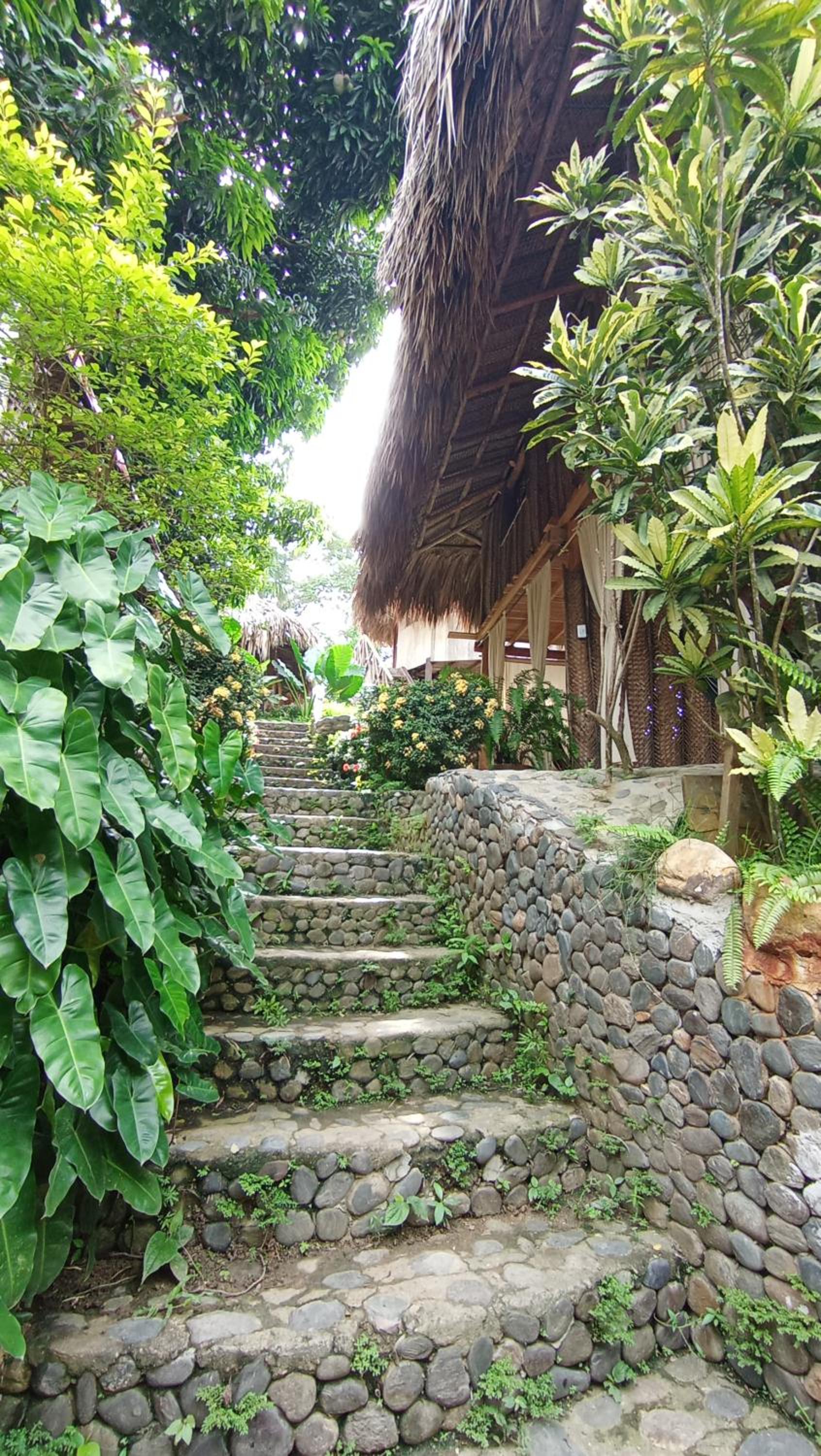ECOCABAÑAS DIOSA JAGUAR tayrona