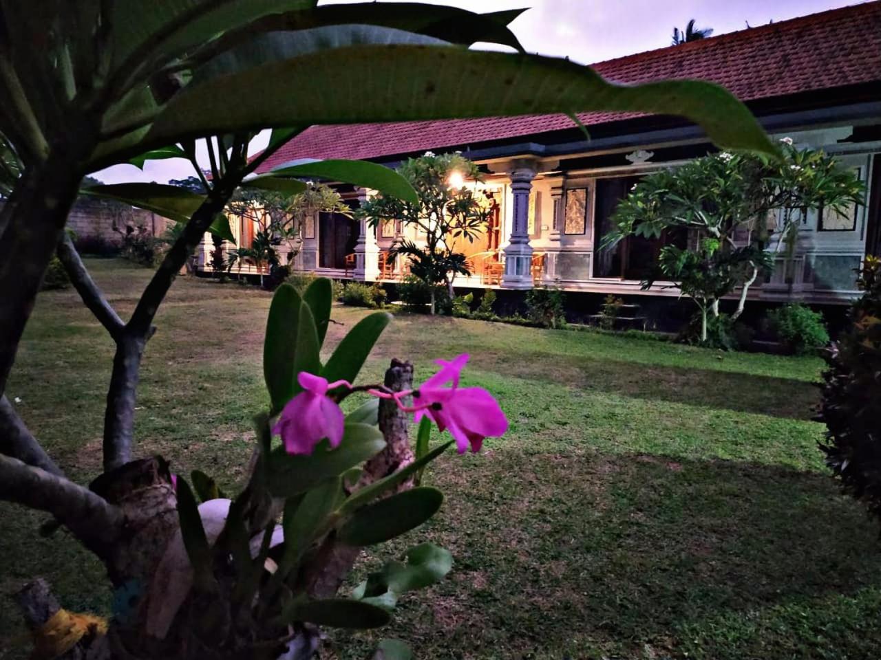 Asri Dana view 5