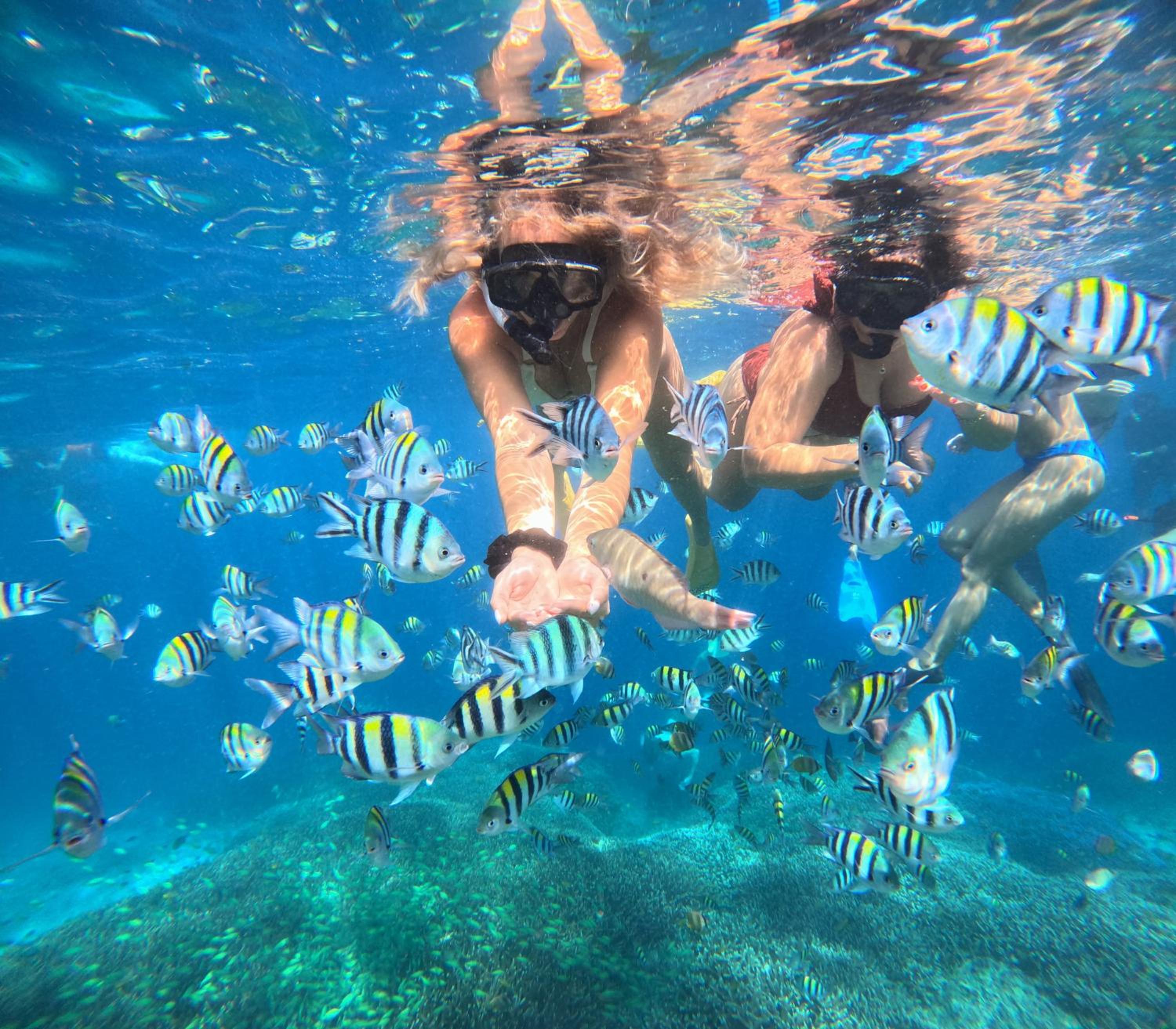 Unzipp Bungalows Gili Air