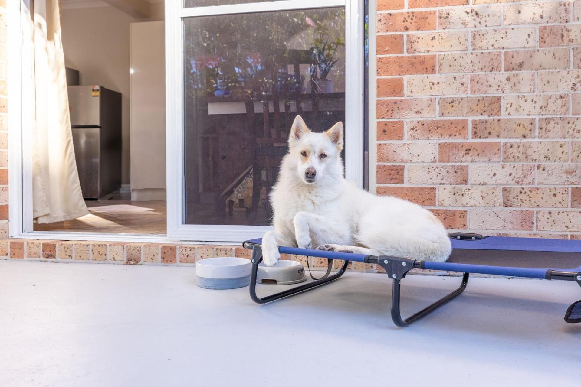 Pet friendly 24 Irawari Crescent - pool, air con, boat parking