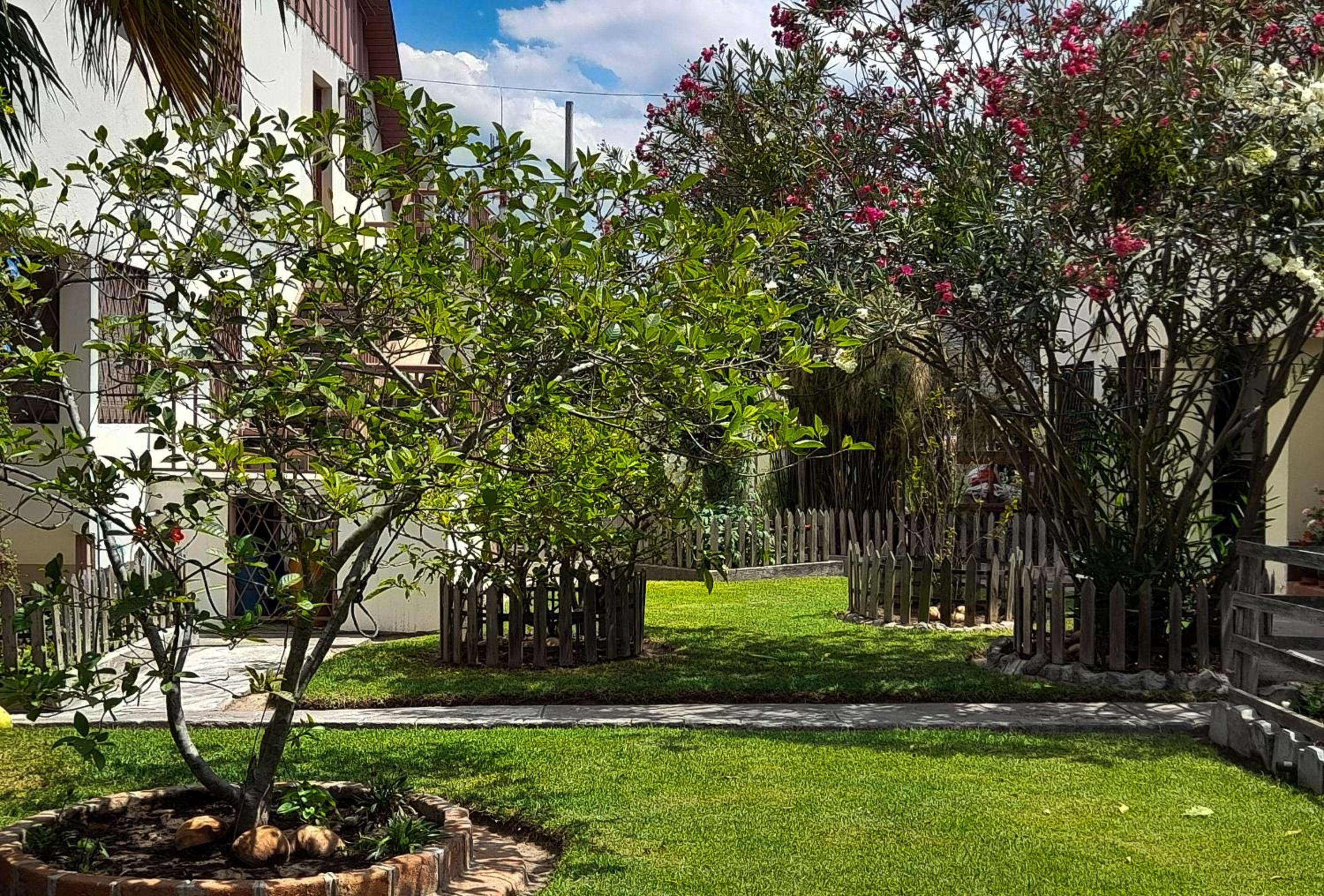 Rose Garden